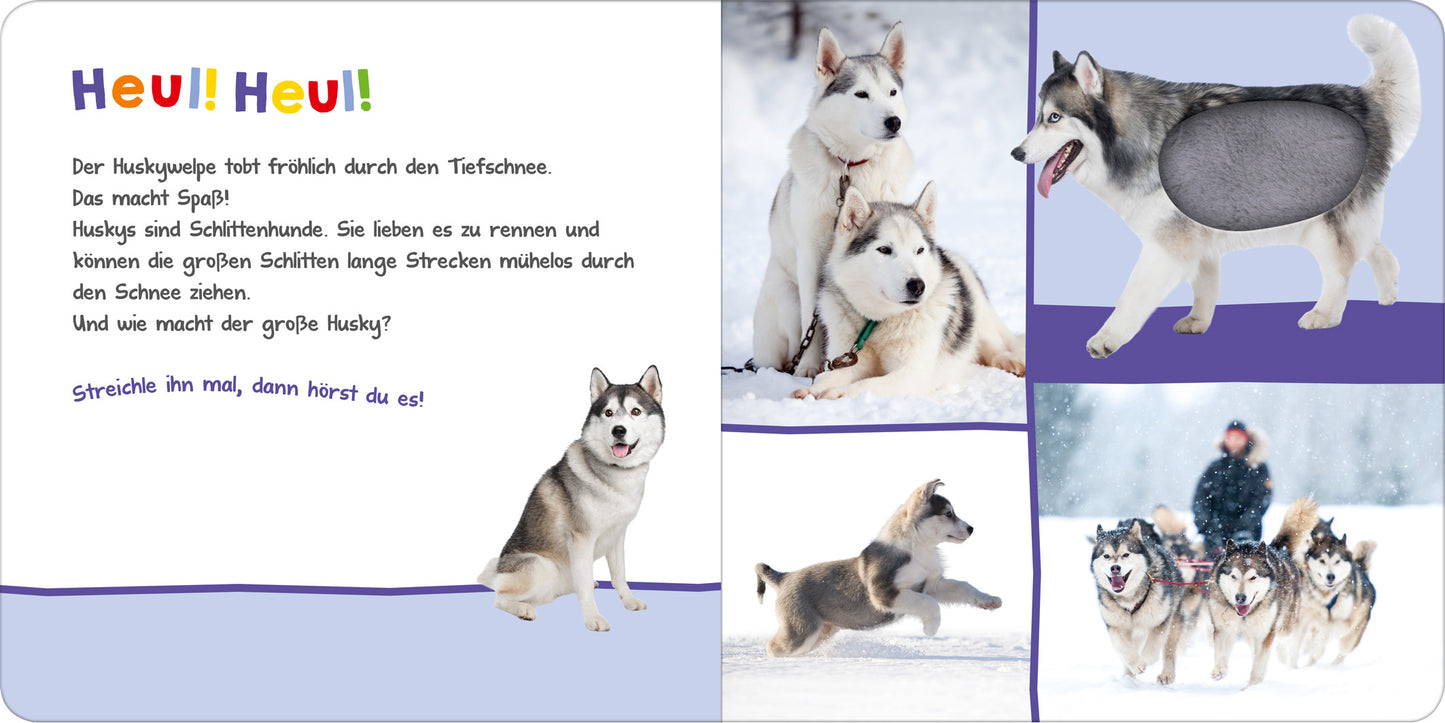Gezeigt wird eine Innenansicht von „Hör mal rein, wer kann das sein? – Im Winter“. Die Seite präsentiert einen bunten, spielerischen Layoutstil. Links befindet sich ein Text, der mit großen, freundlichen Buchstaben in verschiedenen Farben „Heu! Heu!“ titelt. Daneben sind fröhliche Huskys abgebildet, die im Schnee spielen. Die Bilder sind hell und klar, zeigen die Tiere in unterschiedlichen Posen, während sanfte Blau- und Weißtöne das winterliche Ambiente unterstreichen.