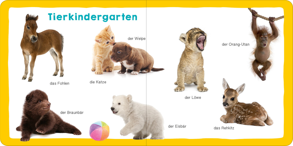 Gezeigt wird eine Innen- oder Zusatzansicht von „Meine ersten 100 Tiere“. Die Seite zeigt eine bunte Anordnung von verschiedenen Tierbildern, darunter ein Fohlen, einen Welpen, eine Katze, einen Löwen, einen Orang-Utan, einen Braunbären, einen Eisbären und ein Rehkitz. Die Tiere sind in lebendigen Farben dargestellt, um ihre Merkmale hervorzuheben. Die Überschrift „Tierkindergarten“ ist in großer, blauer Schrift platziert, die sich deutlich vom hellen Hintergrund abhebt. Ein buntes...