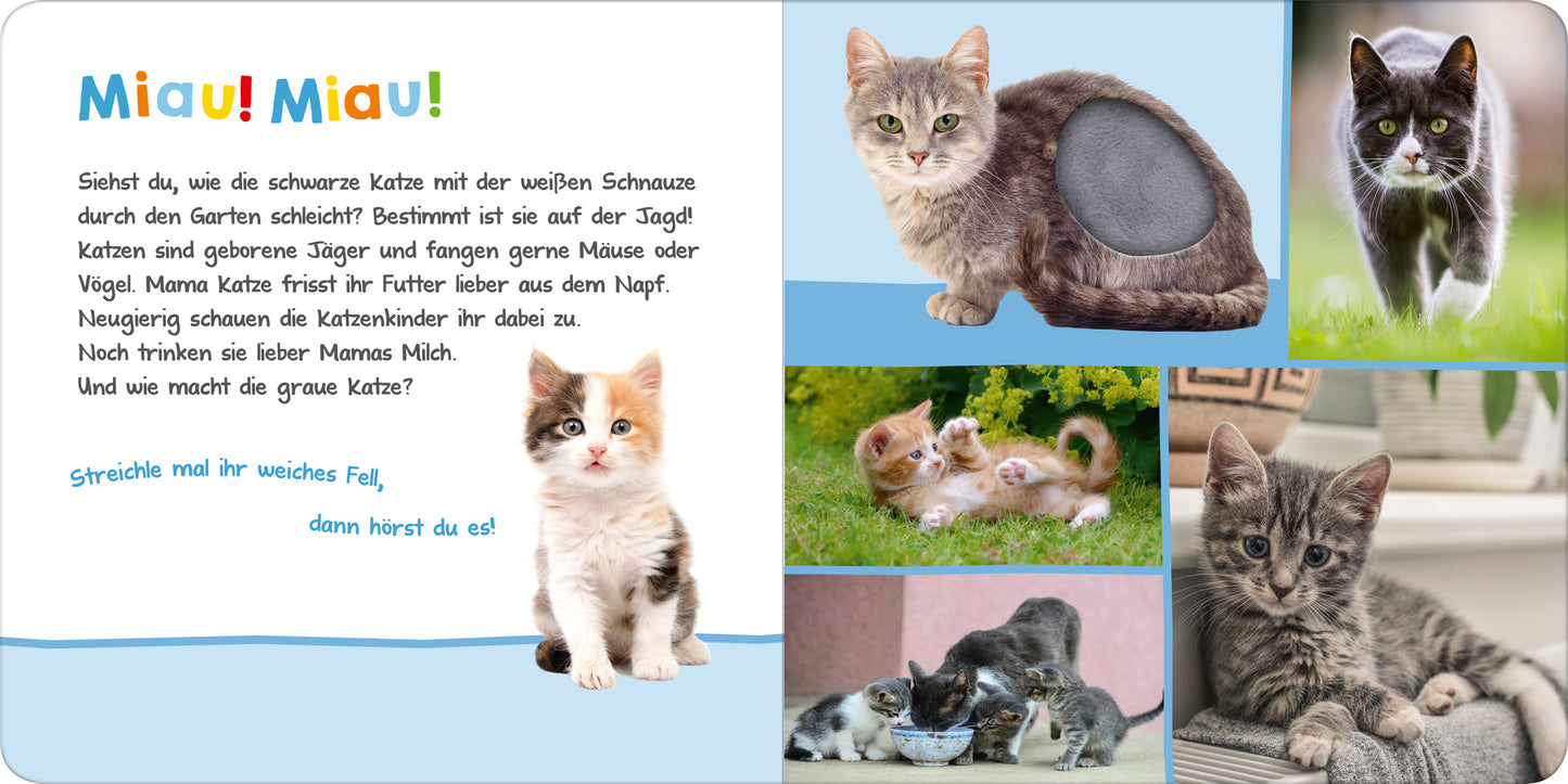 Gezeigt wird eine Innen- oder Zusatzansicht von „Hör mal rein, wer kann das sein? – Haustiere“. Auf der linken Seite steht der Titel „Miau! Miau!“ in bunten, kindgerechten Buchstaben. Darunter folgt ein kurzer Text über Katzen. Rechtes Bild zeigt fünf Katzenfotos in unterschiedlichen Posen und Farben, darunter ein grau-weißes Kätzchen. Die Seiten sind in sanften Pastellfarben gehalten, was die heimelige Atmosphäre unterstützt. Die Typografie ist klar und leicht lesbar, ideal...