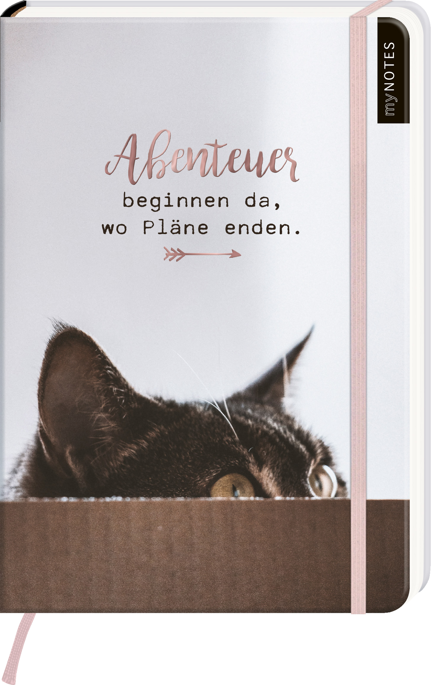 Das Buchcover zeigt einen hellen Hintergrund, auf dem die Worte „Abenteuer beginnen da, wo Pläne enden.“ in einer stilvollen, handschriftlichen Schriftart in einem sanften Rosaton gedruckt sind. Im unteren Bereich schimmert das Bild eines neugierigen schwarzen Katers, dessen leuchtende Augen aus einer dunklen Kante hervorschauen. Der obere rechte Eckbereich trägt den Aufdruck „myNOTES“. Ganz unten mittig steht der Logoschriftzug von arsEdition.