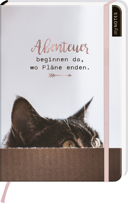 Das Buchcover zeigt einen hellen Hintergrund, auf dem die Worte „Abenteuer beginnen da, wo Pläne enden.“ in einer stilvollen, handschriftlichen Schriftart in einem sanften Rosaton gedruckt sind. Im unteren Bereich schimmert das Bild eines neugierigen schwarzen Katers, dessen leuchtende Augen aus einer dunklen Kante hervorschauen. Der obere rechte Eckbereich trägt den Aufdruck „myNOTES“. Ganz unten mittig steht der Logoschriftzug von arsEdition.