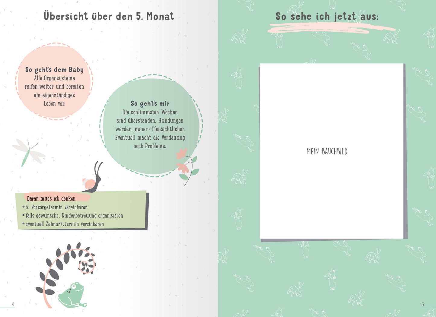 Gezeigt wird eine Innen- oder Zusatzansicht von „Weißt du eigentlich, wie lieb ich dich hab?“. Die Seite ist hellgrün mit verspielten, bunten Illustrationen von Tieren und Pflanzen. Links befindet sich eine grafische Übersicht über den 5. Monat, gestaltet in sanften Pastelltönen. Textkästen in runden Formaten enthalten Informationen zum Baby und zur werdenden Mutter. Auf der rechten Seite ist ein leerer Bereich mit der Aufschrift „MEIN BAUCHKIND“ in klarer, gut lesbarer Schriftart.