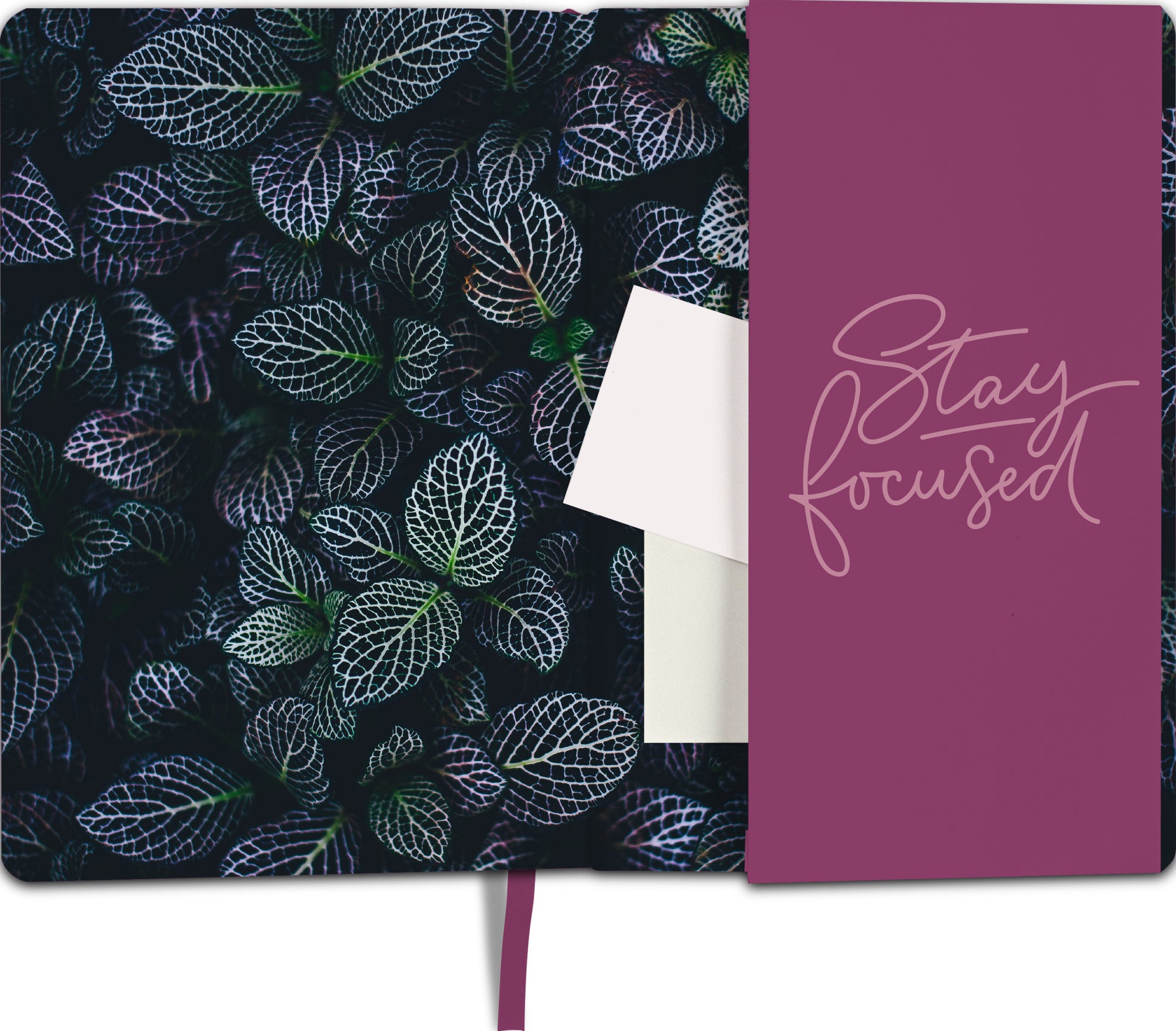 Gezeigt wird eine Innen- oder Zusatzansicht von „myNOTES Notizbuch A5: Be creative“. Die Ansicht präsentiert eine dunkle Hintergrundgestaltung mit floralen Motiven in leuchtenden Grüntönen. Auf der rechten Seite befindet sich eine lila Klappe, die den positiven Schriftzug „Stay focused“ in eleganter, handgeschriebener Typografie zeigt. Das Notizbuch enthält eine praktische, beige Einstecktasche, die zusätzlichen Platz für Notizen bietet. Ein lila Lesezeichen ist ebenfalls sichtbar.
