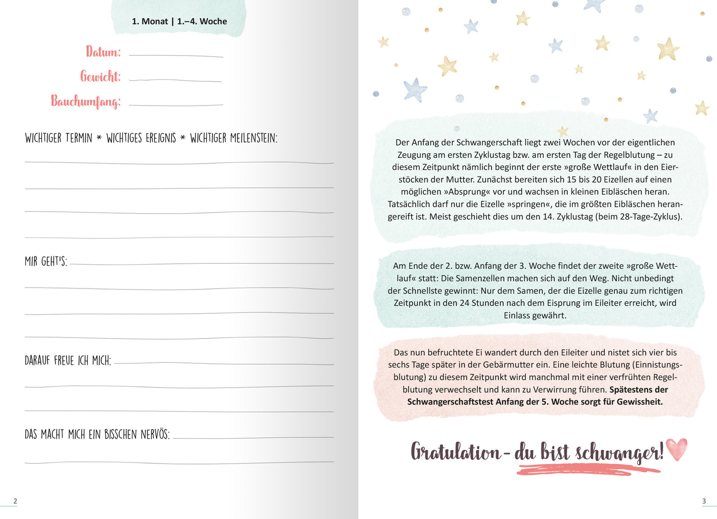 Gezeigt wird eine Innenansicht von „9 Monate“. Die Seite enthält sanfte Farben wie Pastellblau, -grün und -rosa, ergänzt durch zarte Sterne und Herzen. Der Text ist in einer gut lesbaren Schriftart gesetzt, wobei wichtige Informationen in größeren, hervorhebenden Schriftzügen präsentiert werden. In den verschiedenen Textfeldern sind aufmerksamkeitsstarke Aussagen, wie „Gratulation – du bist schwanger!“, in kräftigem Rot stilisiert. Strukturen und Rahmen sorgen für eine klare...