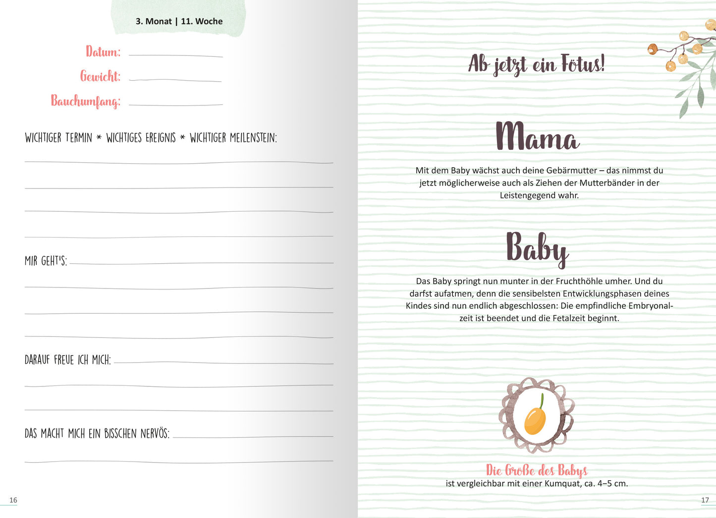 Gezeigt wird eine Innenansicht von „9 Monate“. Die Seite enthält einen sanften, strukturierten Hintergrund in hellen Farben. Auf der linken Seite sind Platzhalter für persönliche Notizen mit verschiedenen Schreibfeldern. Die rechte Seite ist in Abschnitte unterteilt, die in einer geschwungenen, braunen Schriftart „Mama“ und „Baby“ betitelt sind. Eine kleine, beliebte Illustration von einer Frucht ergänzt den Text. Die Farbpalette ist freundlich und beruhigend, mit zarten...