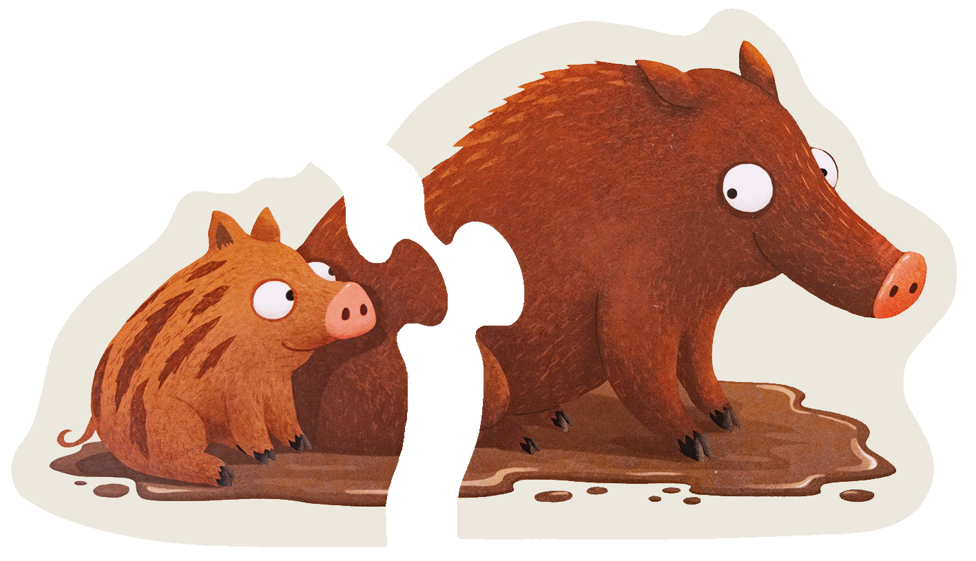 Gezeigt wird eine Innen- oder Zusatzansicht von „Mein erstes Puzzle: Wer wohnt im Wald?“. Die Illustration zeigt ein buntes, kindgerechtes Motiv von zwei Wildschweinen, einem größeren und einem kleineren, die in einer schlammigen Pfütze stehen. Die Tiere sind in warmen Erdtönen gehalten, mit einem freundlichen Gesichtsausdruck und charakteristischen Merkmalen wie der Schnauze und den runden Augen. Der Hintergrund ist hell und einfach gehalten, um die Tiere hervorzuheben.