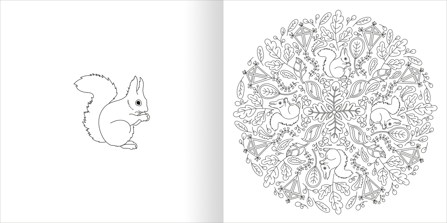 Gezeigt wird eine Innen- oder Zusatzansicht von „Mandala-Zauber – Die Jahreszeiten“. Links ist eine skizzierte Eichelhörnchen-Darstellung in Schwarz-Weiß zu sehen. Rechts entfaltet sich ein komplexes Mandala, das um das zentrale Motiv von Eichelhörnchen und herbstlichen Blättern kreisförmig angeordnet ist. Die feinen Linien und Detailzeichnungen laden zum Ausmalen ein und vermitteln ein Gefühl von Naturverbundenheit und Kreativität.