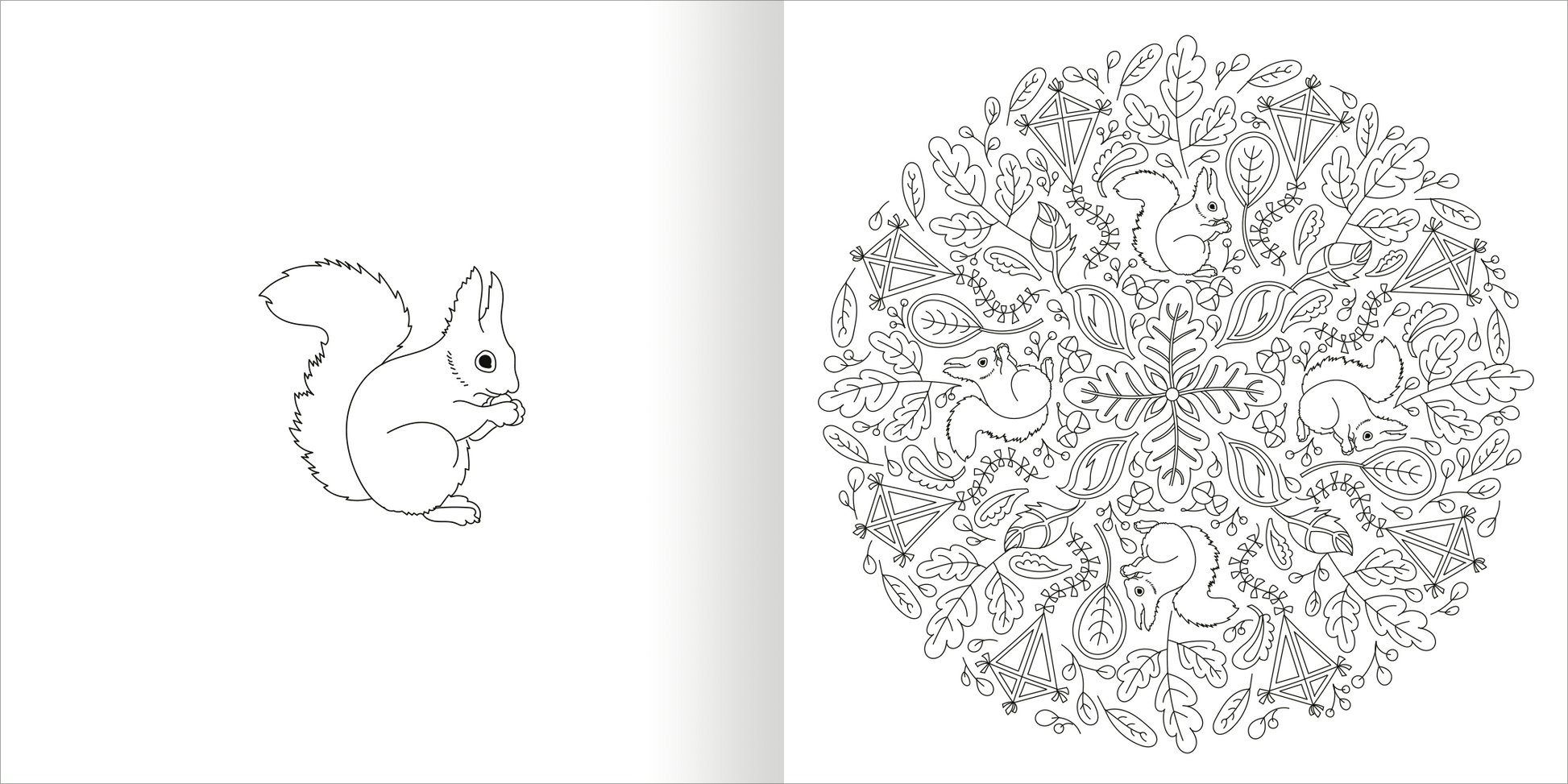 Gezeigt wird eine Innen- oder Zusatzansicht von „Mandala-Zauber – Die Jahreszeiten“. Links ist eine skizzierte Eichelhörnchen-Darstellung in Schwarz-Weiß zu sehen. Rechts entfaltet sich ein komplexes Mandala, das um das zentrale Motiv von Eichelhörnchen und herbstlichen Blättern kreisförmig angeordnet ist. Die feinen Linien und Detailzeichnungen laden zum Ausmalen ein und vermitteln ein Gefühl von Naturverbundenheit und Kreativität.