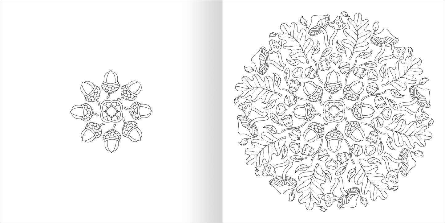 Gezeigt wird eine Innen- oder Zusatzansicht von „Mandala-Zauber – Die Jahreszeiten“. Die Abbildung zeigt eine detaillierte Mandala-Gestaltung in Schwarz-Weiß, die aus zentral angeordneten Eicheln und Eichenblättern besteht. Elemente des Designs sind symmetrisch angeordnet und mit feinen Linien ausgeführt. Der Hintergrund ist schlicht, was den Fokus auf die kunstvollen Details der Umgebung der Hauptmotivet legt.