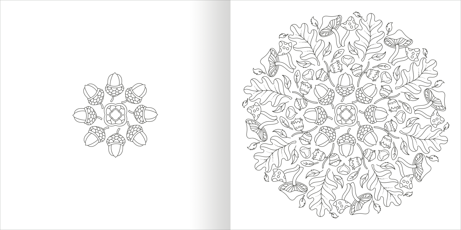 Gezeigt wird eine Innen- oder Zusatzansicht von „Mandala-Zauber – Die Jahreszeiten“. Die Abbildung zeigt eine detaillierte Mandala-Gestaltung in Schwarz-Weiß, die aus zentral angeordneten Eicheln und Eichenblättern besteht. Elemente des Designs sind symmetrisch angeordnet und mit feinen Linien ausgeführt. Der Hintergrund ist schlicht, was den Fokus auf die kunstvollen Details der Umgebung der Hauptmotivet legt.