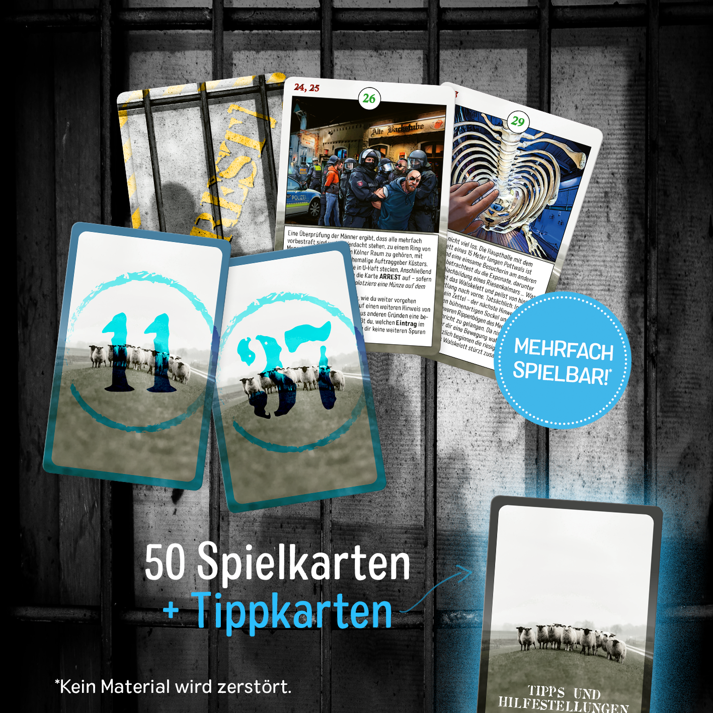Gezeigt wird eine Innen- oder Zusatzansicht von „Ostfriesenrätsel“. Im Vordergrund sind zwei Spielkarten mit den Zahlen „11“ und „97“ abgebildet, umrahmt von aufwendig gestalteten Illustrationen. Im Hintergrund sind weitere Karten sichtbar, die verschiedene Bilder und Textinformationen zeigen. Die Farbpalette umfasst Blau-, Grau- und Weißtöne, während die Typografie in einer klaren, modernen Schrift gestaltet ist. Der Hinweis „mehrfach spielbar“ befindet sich auf einem...
