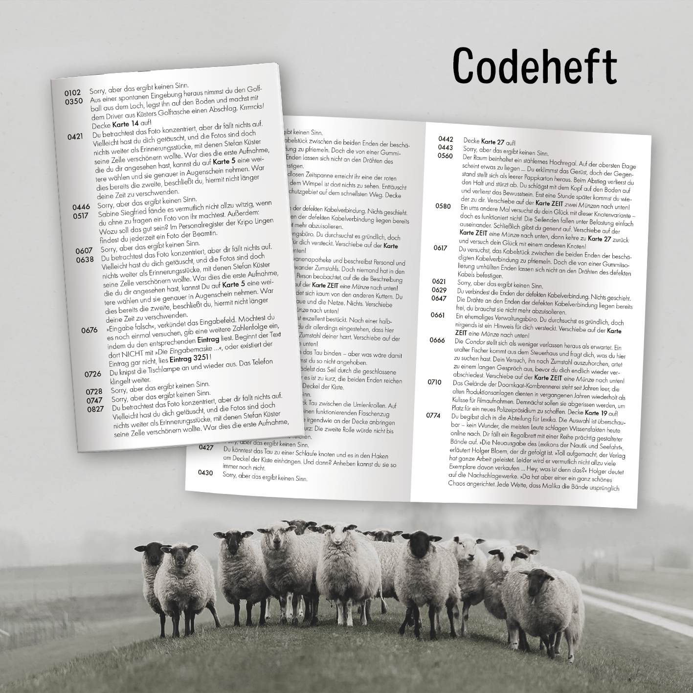 Gezeigt wird eine Innenansicht von „Ostfriesenrätsel“. Die Seiten sind in hellen Grautönen gehalten und präsentieren klare schwarze Schrift in unterschiedlichen Schriftgrößen. Die Typografie ist gut lesbar, unterstützt durch genügend Zeilenabstand. Auf der linken Seite sind nummerierte Hinweise und Rätsel abgedruckt, während die rechte Seite ebenfalls diverse Rätsel enthält. Oben steht der Titel „Codeheft“ in fetter Schrift, was die zentrale Orientierung bietet.