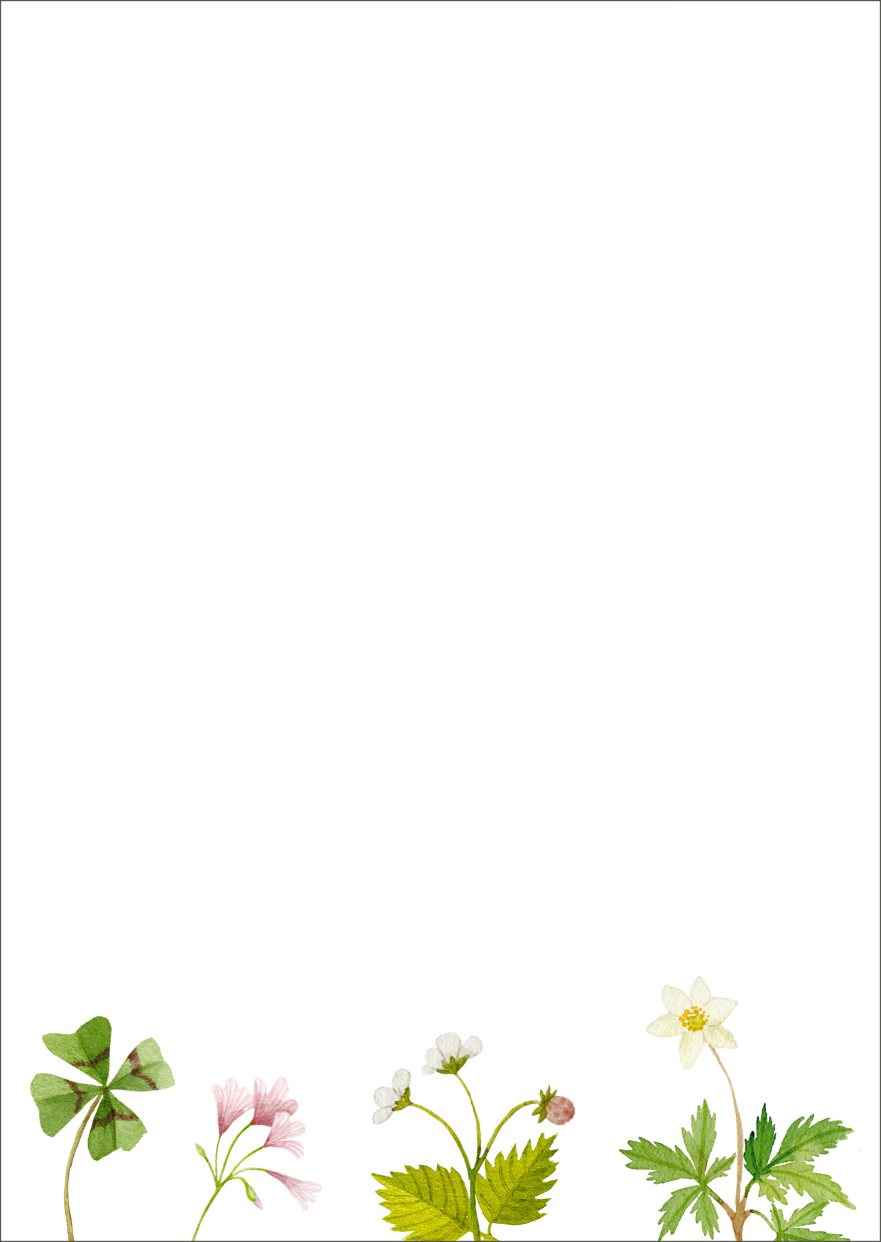 Gezeigt wird eine Innen- oder Zusatzansicht von „myNOTES Papeterie: Notizblock Naturschätze“. Auf dem weißen Hintergrund sind zarte Aquarellillustrationen verschiedener Pflanzen am unteren Rand abgebildet. Dazu gehören ein Kleeblatt, kleine Blüten in Rosa und Weiß sowie zarte grüne Blätter. Die sanften Farben der Illustrationen verleihen dem Notizblock eine frische, natürliche Anmutung. Die Gestaltung ist harmonisch und einladend und eignet sich ideal zum kreativen Notieren.