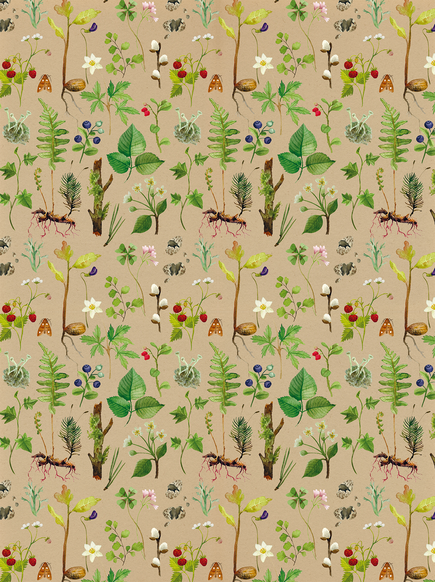 Gezeigt wird eine Innen- oder Zusatzansicht von „myNOTES Papeterie: Geschenkpapier Naturschätze“. Der Hintergrund ist in einem sanften, hellen Braunton gehalten. Darauf sind verschiedene botanische Motive in lebhaften Farben wie Grün, Gelb, Blau und Rot angeordnet. Die Gestaltung zeigt eine Vielfalt an Pflanzen, Blumen und Insekten, die harmonisch miteinander kombiniert sind. Die Illustration ist detailreich und vermittelt einen natürlichen, organischen Eindruck.