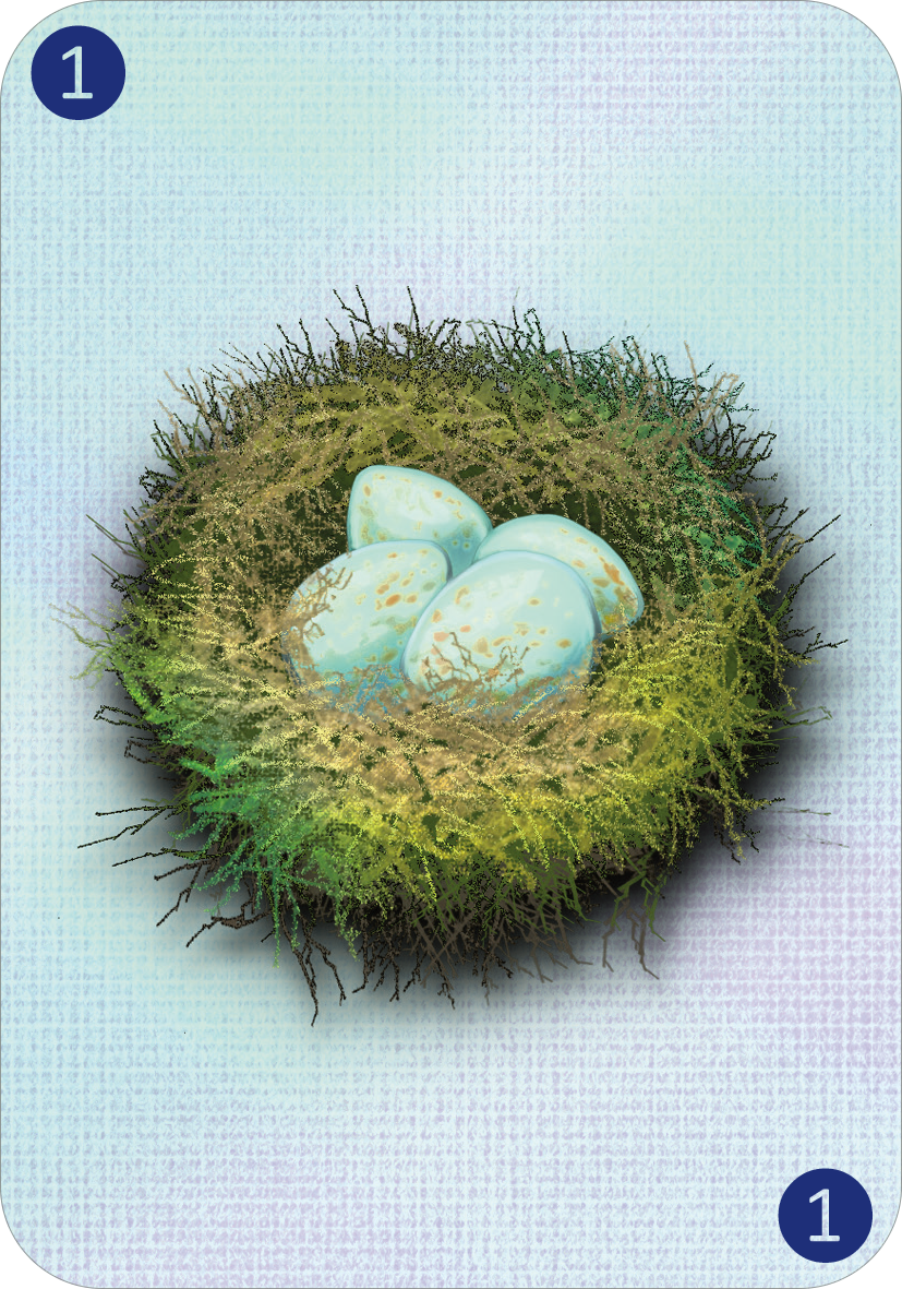 Gezeigt wird eine Innen- oder Zusatzansicht von „Spinn dich aus – Tiergeschichten“. Die Abbildung zeigt ein Vogelnest, das aus grünlichem Moos und braunen Zweigen besteht. In der Mitte liegen drei Eier in sanften Blau- und Cremetönen. Der Hintergrund ist in einem hellen, pastelligen Farbton gehalten, der eine ruhige Atmosphäre schafft. Der obere Bereich ist mit der Nummer „1“ gekennzeichnet.