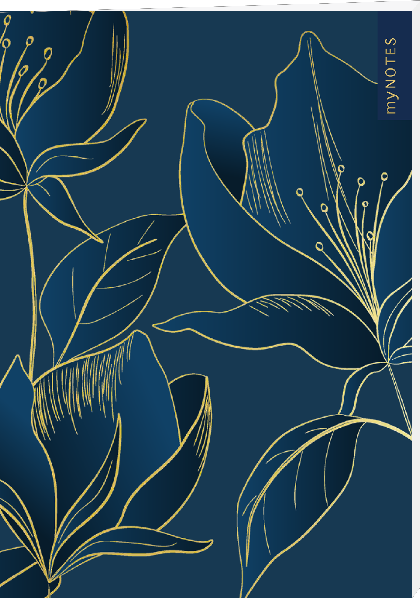 Das Buchcover zeigt einen tiefblauen Hintergrund, der mit feinen goldenen Linien verziert ist, die stilisierte Blüten und Blätter bilden. Die floralen Motive verleihen dem Cover eine elegante und beruhigende Atmosphäre. In der oberen rechten Ecke steht in moderner Schrift „my NOTES“. Ganz unten mittig steht der Logoschriftzug von arsEdition.