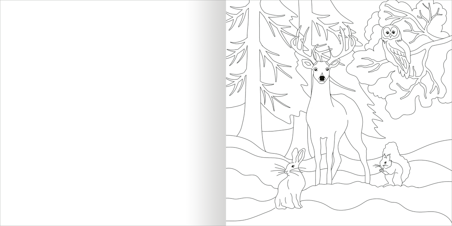 Gezeigt wird eine Innen- oder Zusatzansicht von „Aquarell-Malblock – Im Wald“. Die Abbildung zeigt eine skizzierte Waldlandschaft mit einem majestätischen Reh, das in der Mitte steht. Umgeben ist es von einem Kaninchen, einem Eichhörnchen und einer Eule, die auf einem Ast sitzt. Bäume und Sträucher umrahmen die Szene. Die Linien sind klar und kräftig, ideal für das Ausmalen. Der Hintergrund bleibt unkoloriert, was zur Kreativität anregt.
