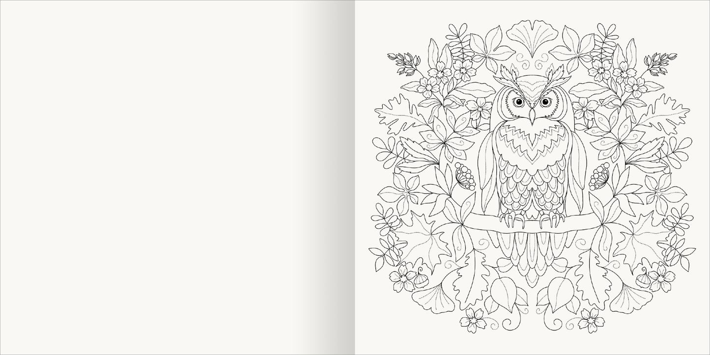 Gezeigt wird eine Innenansicht von „Aquarell-Malblock – Im Wald“. Die Abbildung zeigt eine detaillierte, schwarz-weiße Konturzeichnung einer Eule, umgeben von verschiedenen Pflanzen und Blumen. Die Eule sitzt auf einem Ast und wird von filigranen Blättern und Blüten flankiert. Die klare Linienführung und die symmetrische Anordnung der Elemente laden zur kreativen Ausgestaltung ein. Der Hintergrund ist neutral, wodurch die Zeichnung hervorgehoben wird.