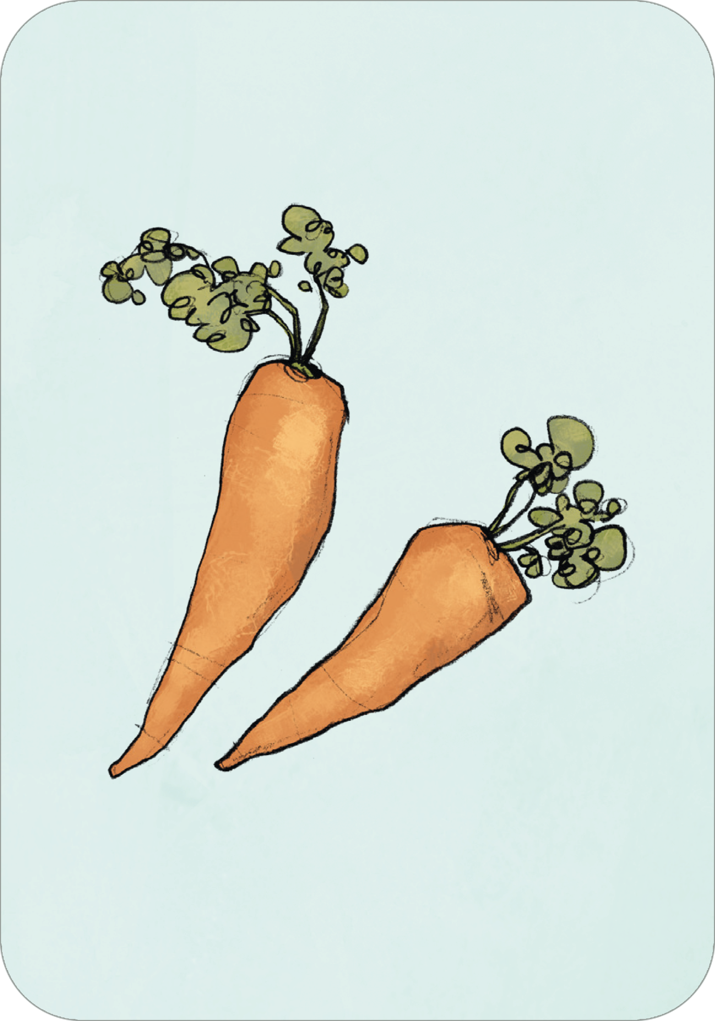 Gezeigt wird eine Innen- oder Zusatzansicht von „Anouk – Ich packe meinen Koffer“. Die Illustration zeigt zwei orangefarbene Karotten mit grünen Blättern auf einem sanft blauen Hintergrund. Die Karotten sind grob gezeichnet und vermitteln einen kindlichen, fröhlichen Stil. Die Farbgebung ist lebhaft und kontrastreich. Die Typografie ist schlicht und gut lesbar, ergänzt die Zeichnung jedoch nicht visuell.