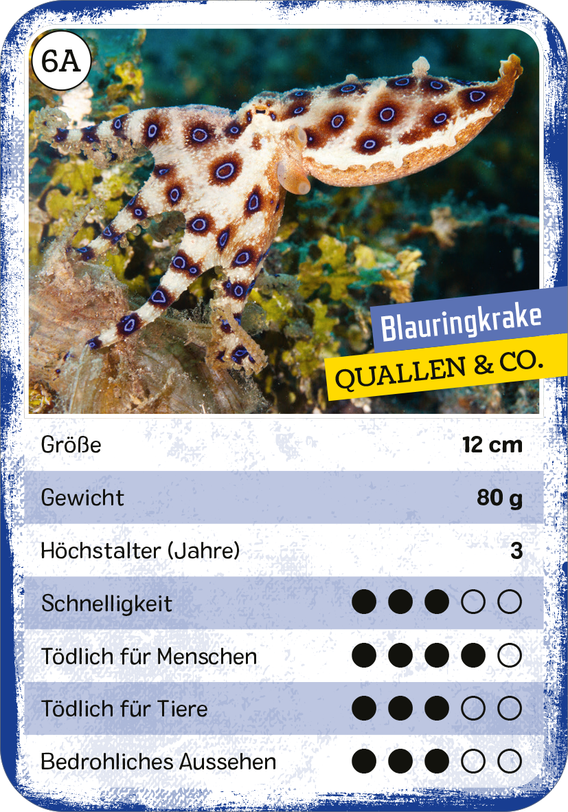 Gezeigt wird eine Innen- oder Zusatzansicht von „Das tödliche Quartett“. Die Karte zeigt einen Blauringkraken auf einem meeresblauen Hintergrund. Im oberen Bereich steht der Titel „Blauringkrake“ in gelber Schrift. Darunter sind verschiedene Informationen aufgeführt, einschließlich Größe und Gewicht, in einer klaren, gut lesbaren Schrift. Symbole auf der Karte bewerten Eigenschaften wie Schnelligkeit und Gefährlichkeit für Menschen sowie Tiere, dargestellt durch ausgefüllte und...