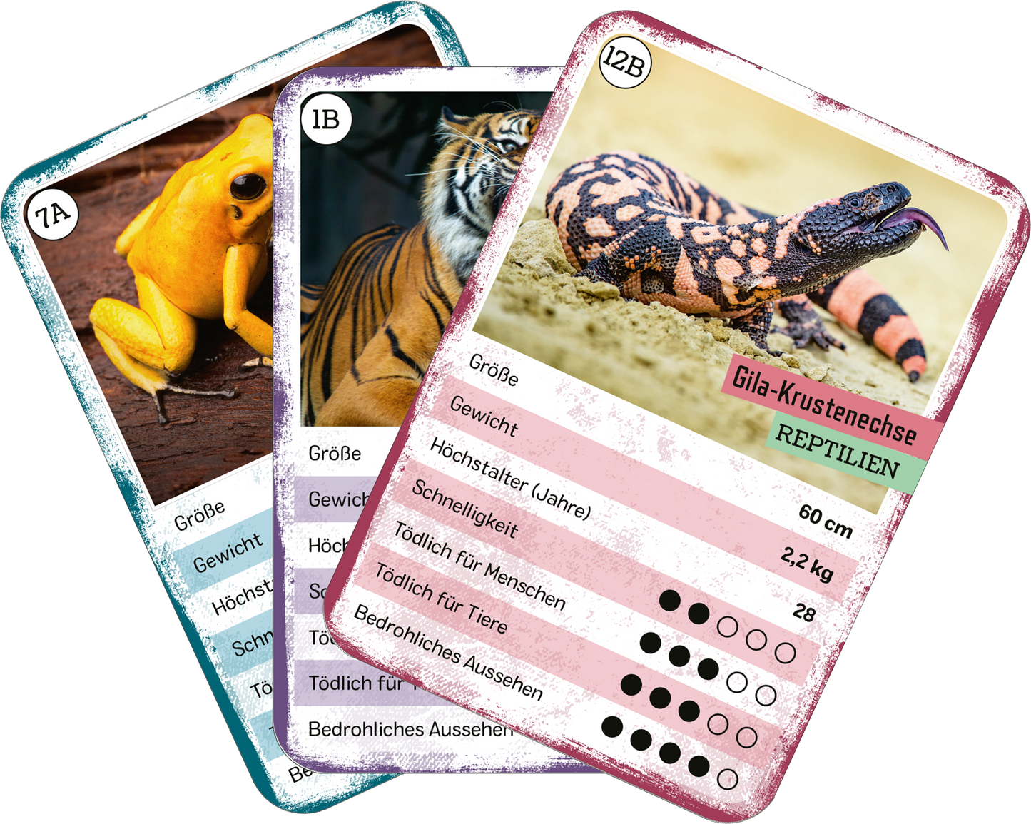 Gezeigt wird eine Innen- oder Zusatzansicht von „Das tödliche Quartett“. Die Abbildung zeigt mehrere Karten mit unterschiedlichen Tiermotiven und Informationen. Die Karten sind in lebhaften Farben gehalten, darunter Gelb, Blau und Rot. Jedes Exemplar enthält ein Bild eines Tieres, gefolgt von spezifischen Details wie Größe und Gewicht. Die Typografie ist klar und gut lesbar, mit hervorgehobenen Überschriften und Bewertungsfeldern, die ebenfalls visuell einprägsam gestaltet sind.