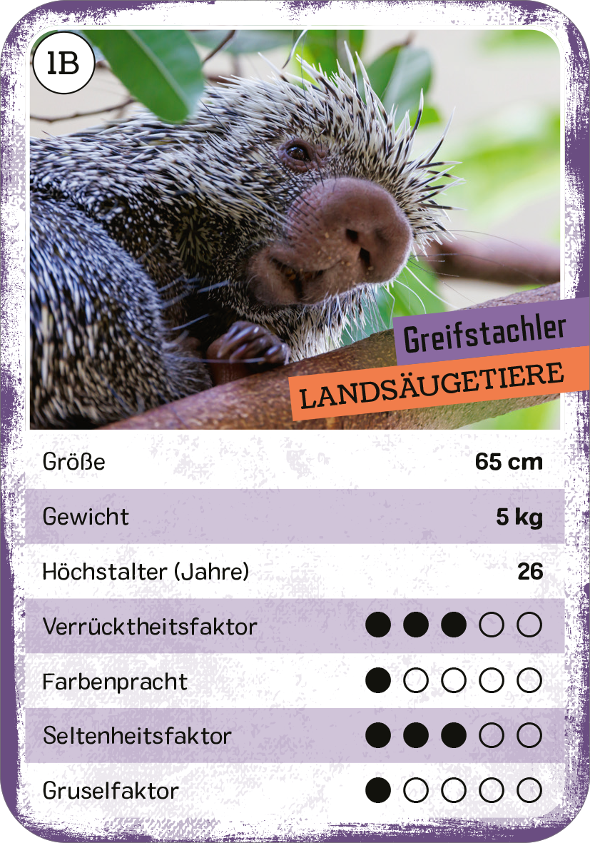 Gezeigt wird eine Innen- oder Zusatzansicht von „Das verrückte Quartett“. Die Karte zeigt einen Greifstachler in Nahaufnahme mit einer grauen bis braunen Fellfarbe und auffälligen Stacheln. Der Hintergrund ist grün, was die natürliche Umgebung verdeutlicht. Oben links befindet sich ein Zahlencode, während die Kategorie „Landsäugetiere“ in orangefarbener Schrift hervorgehoben ist. Unterhalb sind Angaben zu Größe, Gewicht und Lebensdauer sowie fünf Bewertungskriterien in Form von...