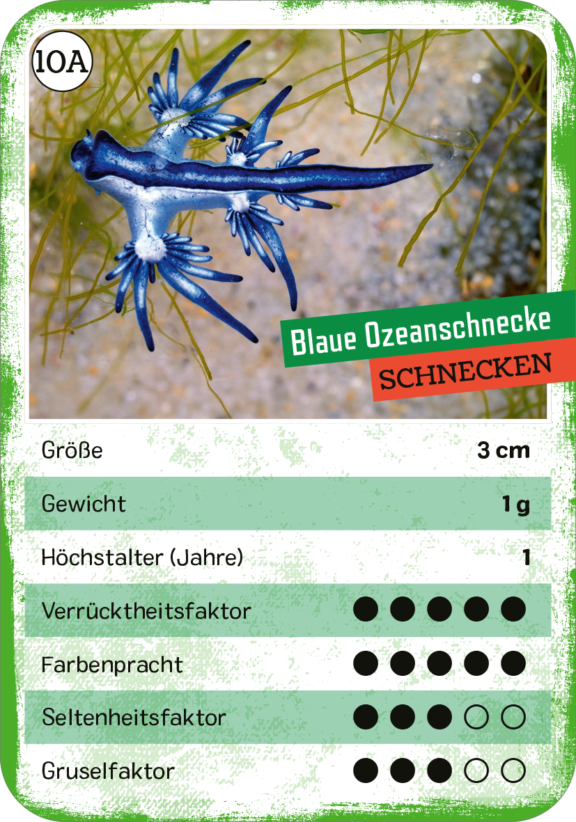 Gezeigt wird eine Innen- oder Zusatzansicht von „Das verrückte Quartett“. Die Darstellung zeigt eine Karte mit der „Blauen Ozeanschnecke“ in lebendigen Blau- und Grüntönen. Die obere Hälfte präsentiert das Tier in seiner natürlichen Umgebung, während die untere Hälfte Informationen wie Größe, Gewicht und Altersangabe enthält. Die Typografie ist bunt und auffällig, wobei Kategorien wie „Verrücktheitsfaktor“ durch Punkte visuell hervorgehoben werden. Der Hintergrund ist...