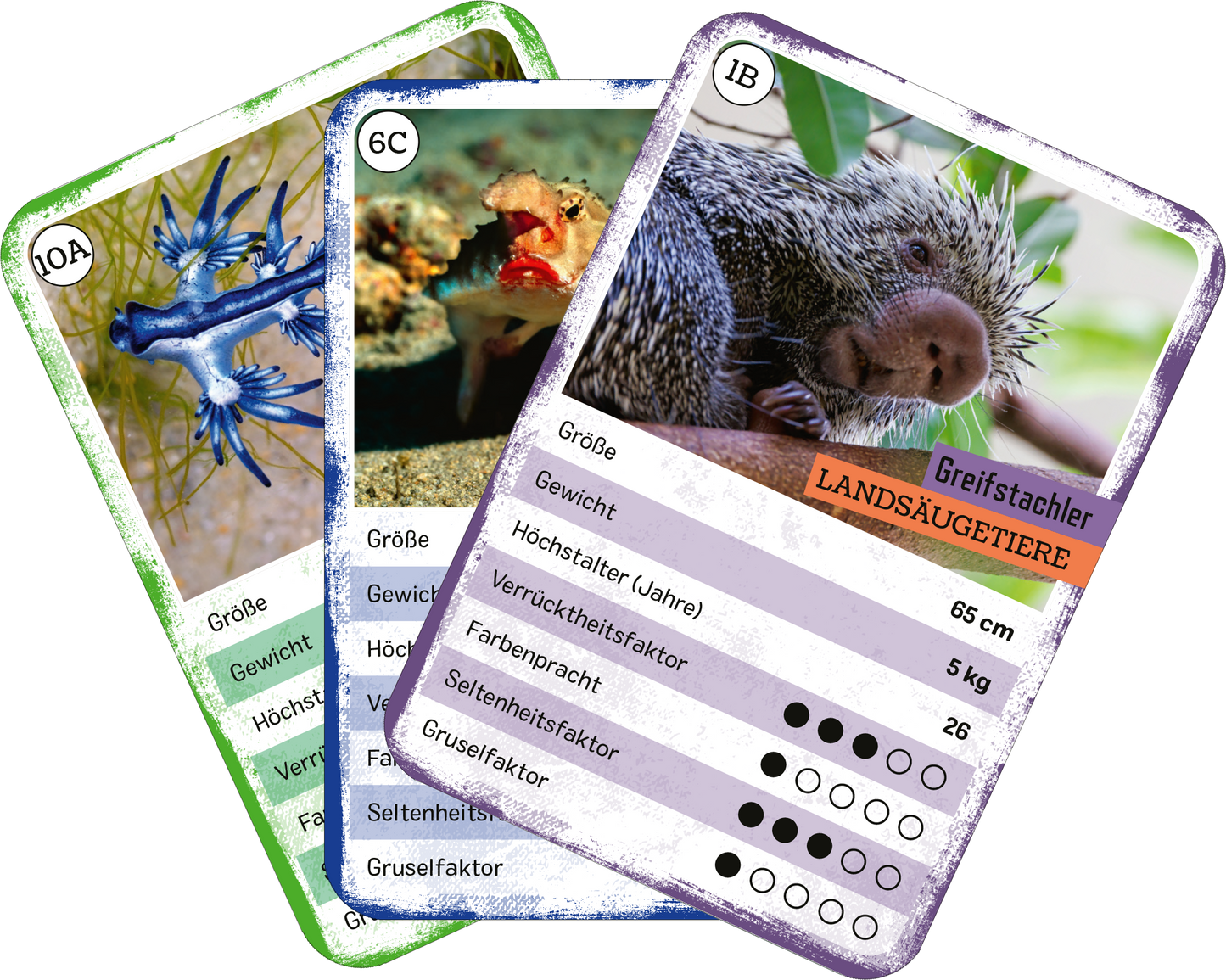 Gezeigt wird eine Innen- oder Zusatzansicht von „Das verrückte Quartett“. Die Abbildung zeigt mehrere Spielkarten, jeweils mit farbigen Hintergründen in Blau, Grün und Lila. Auf den Karten sind tierische Motive abgebildet, begleitet von verschiedenen Informationen wie Größe und Gewicht. Die Typografie ist klar und gut lesbar, mit hervorgehobenen Überschriften in kontrastierenden Farben. Die Karten vermitteln ein lebhaftes und kreatives Design, das die Spielmechanik unterstützt.