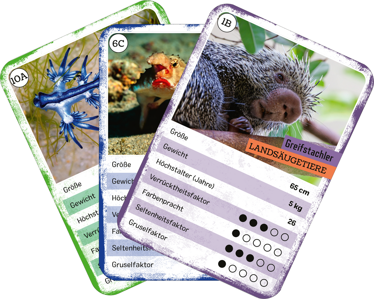 Gezeigt wird eine Innen- oder Zusatzansicht von „Das verrückte Quartett“. Die Abbildung zeigt mehrere Spielkarten, jeweils mit farbigen Hintergründen in Blau, Grün und Lila. Auf den Karten sind tierische Motive abgebildet, begleitet von verschiedenen Informationen wie Größe und Gewicht. Die Typografie ist klar und gut lesbar, mit hervorgehobenen Überschriften in kontrastierenden Farben. Die Karten vermitteln ein lebhaftes und kreatives Design, das die Spielmechanik unterstützt.