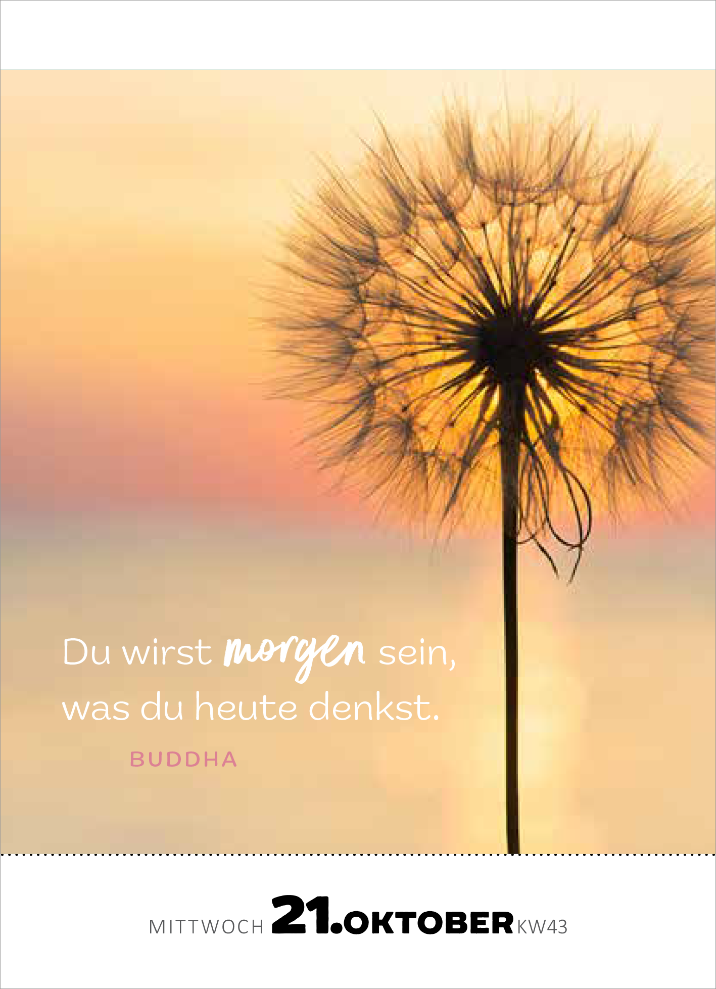 Gezeigt wird eine Innen- oder Zusatzansicht von „Abreißkalender Achtsamkeit für dich 2026“. Die Gestaltung zeigt eine sanfte Farbpalette mit Pastelltönen, die eine ruhige Atmosphäre schafft. Im Vordergrund steht eine Pusteblume, deren filigrane Struktur gut zur Geltung kommt. Der inspirierende Text „Du wirst morgen sein, was du heute denkst.“ ist in einer eleganten, geschwungenen Typografie platziert, während der Name „Buddha“ in schlichter Schrift hervorgehoben wird. Darunter...