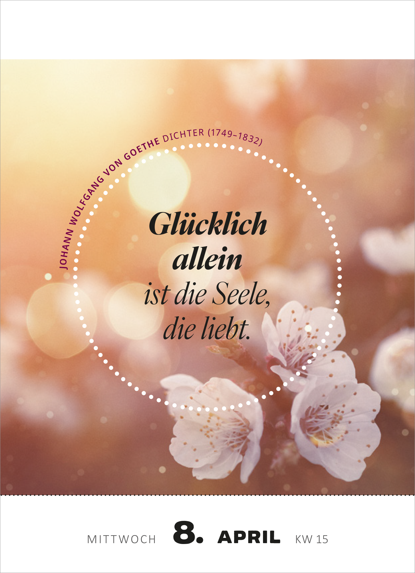 Gezeigt wird eine Innen- oder Zusatzansicht von „Abreißkalender Glücksmantras 2026“. Die Darstellung zeigt eine sanfte, unscharfe Hintergrundfarbe in warmen Apricot- und Gelbtönen, kombiniert mit zarten Kirschblüten im Vordergrund. In der Mitte des Blattes steht der Spruch „Glücklich allein ist die Seele, die liebt“ in eleganter, leicht geschwungener Schrift. Über dem Text befindet sich der Name des Autors Johann Wolfgang von Goethe in kleinerer Schrift. Der Kalendertag und die...