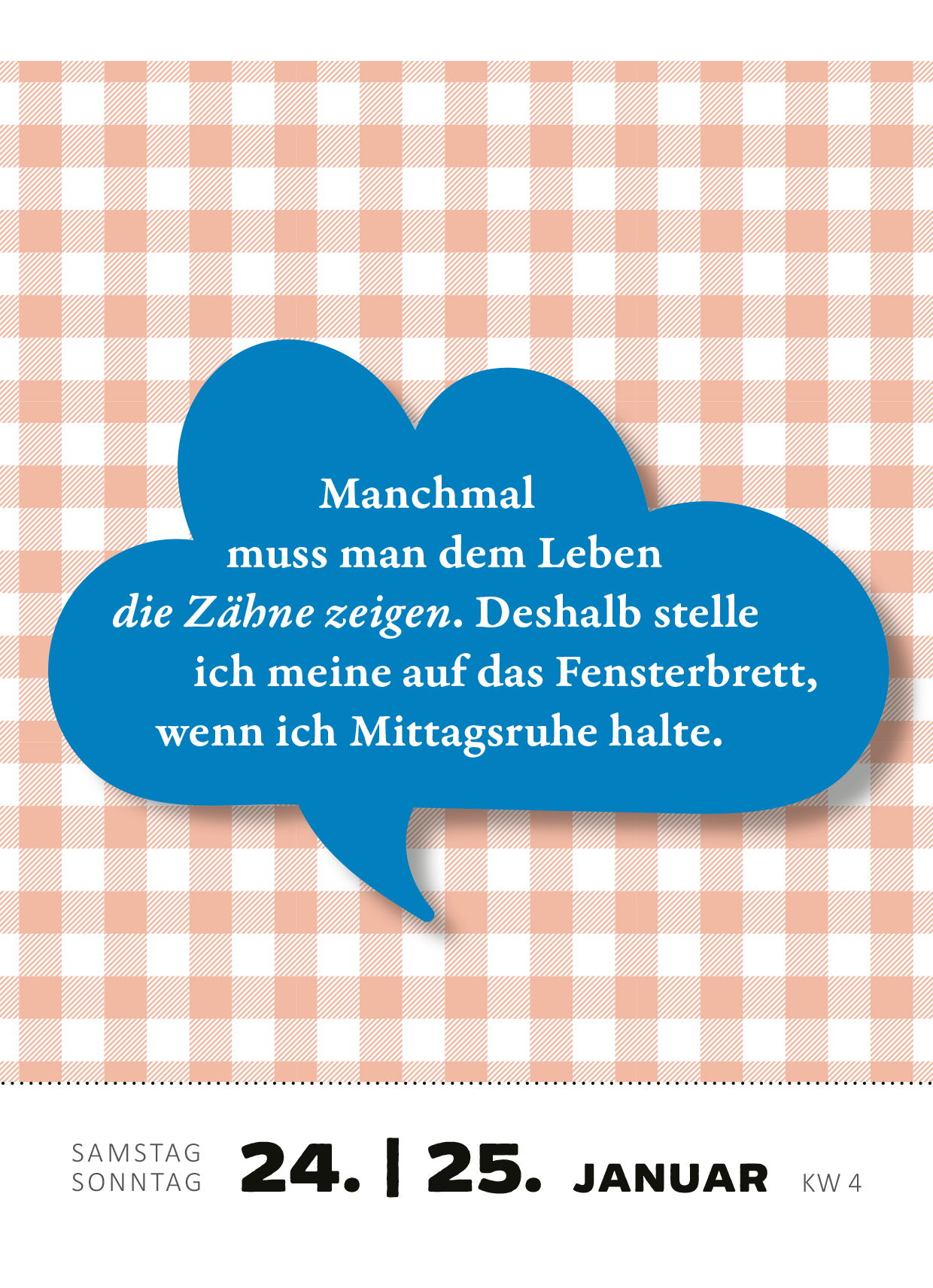 Gezeigt wird eine Innen- oder Zusatzansicht von „Abreißkalender Renate Bergmann – Der Kalender 2026“. Die Seite zeigt einen Karo-Hintergrund in sanften Rot- und Weißtönen. Darauf befindet sich eine blaue Sprechblase mit dem Text „Manchmal muss man dem Leben die Zähne zeigen. Deshalb stelle ich meine auf das Fensterbrett, wenn ich Mittagspause halte.“ Die Schrift ist klar und gut lesbar, wobei der Text in einer eleganten Serifenschrift hervorgehoben wird.