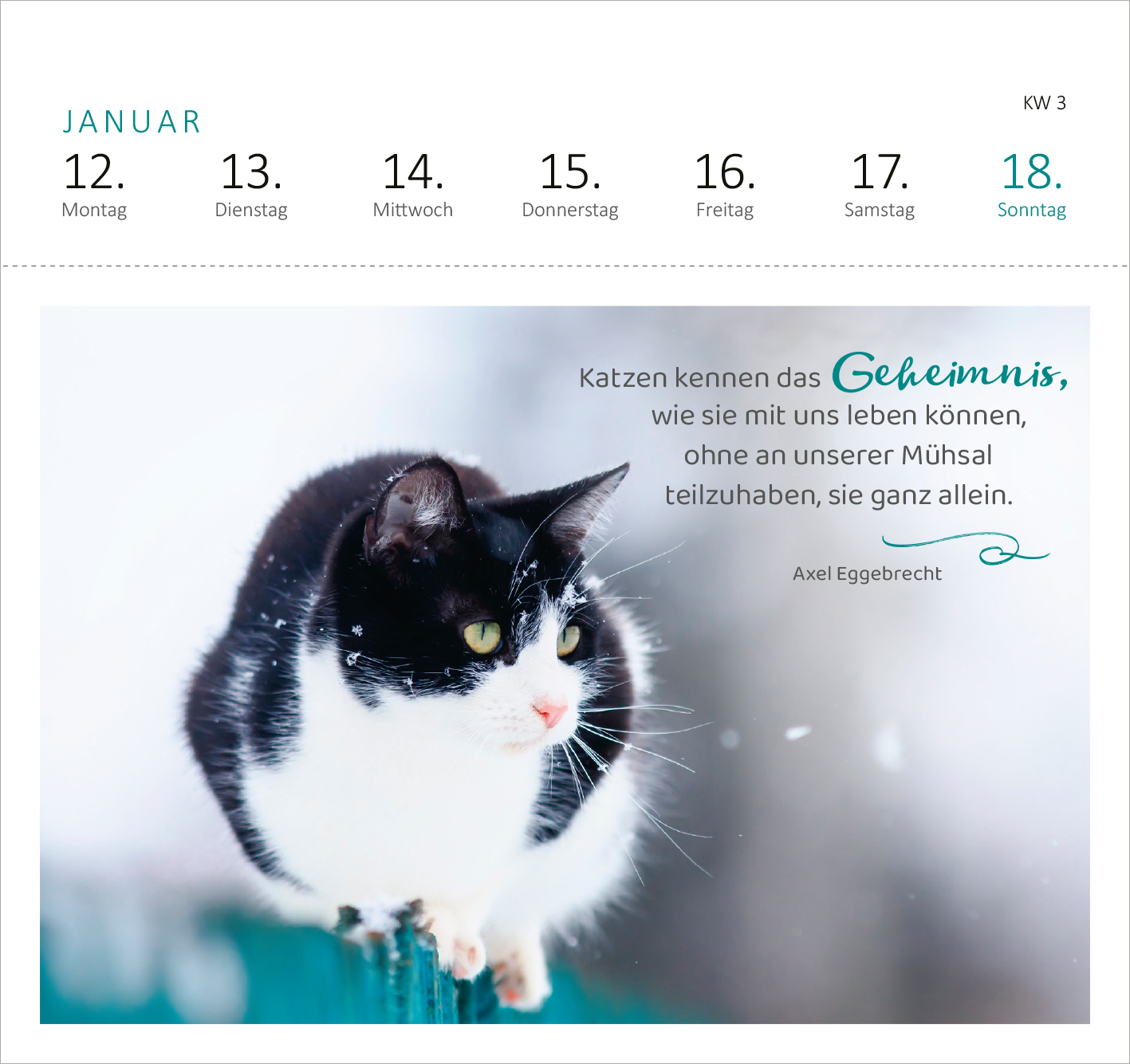 Gezeigt wird eine Innen- oder Zusatzansicht von „Postkartenkalender Katzenweisheiten 2026“. Die Abbildung zeigt einen schwarzen und weißen Kater vor einem unscharfen, winterlichen Hintergrund. Darüber befindet sich ein Kalenderblatt mit den Tagen der Woche in grauer Schrift, das aktuelle Datum ist hellblau hervorgehoben. Zudem ist ein Zitat von Axel Eggebrecht in großen, teils geschwungenen Schriftzügen in Schwarz und Türkis zu sehen. Der Gesamteindruck vermittelt eine harmonische,...