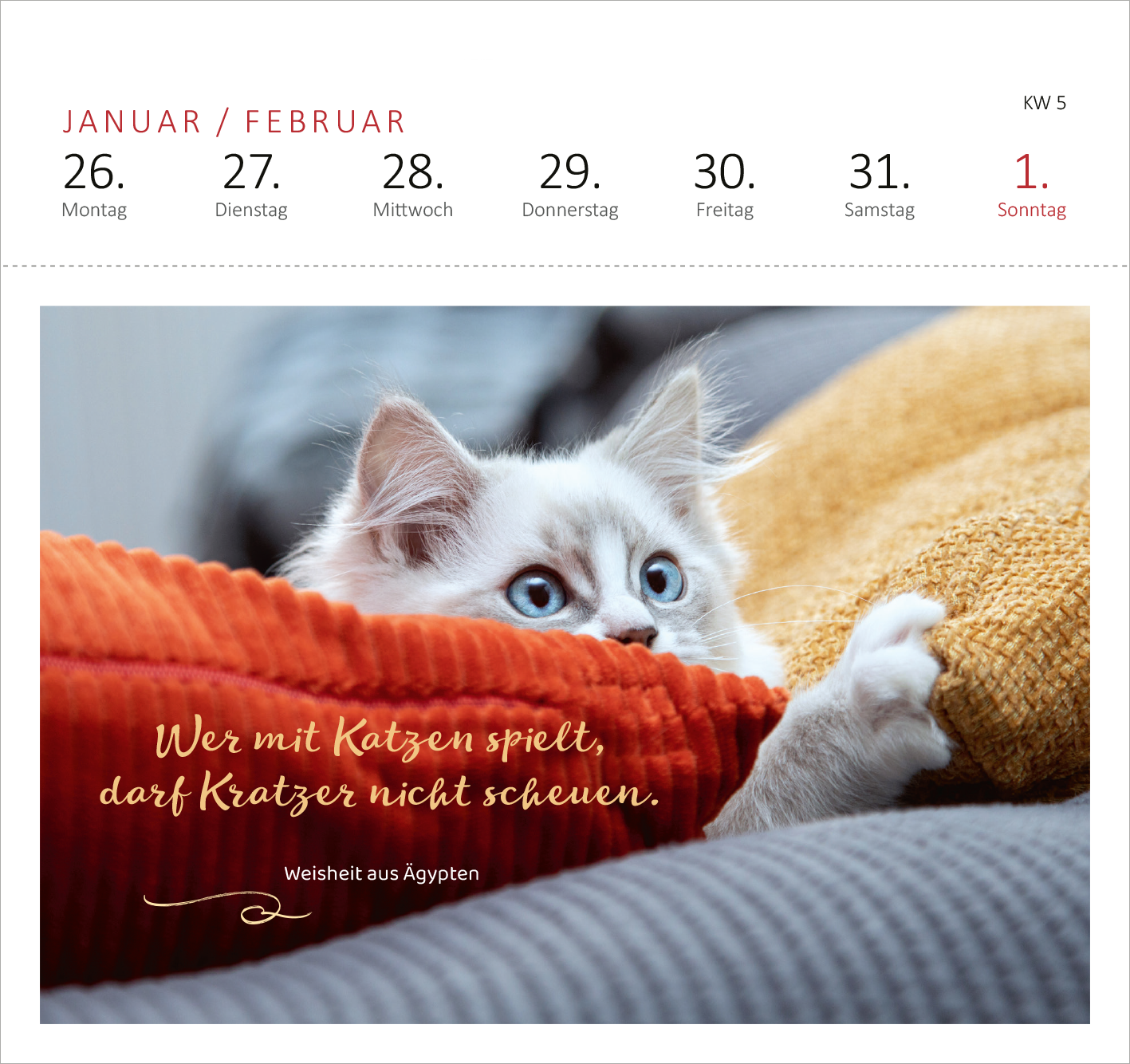 Gezeigt wird eine Innen- oder Zusatzansicht von „Postkartenkalender Katzenweisheiten 2026“. Die Ansicht zeigt einen abgebildeten Kater, der neugierig hinter einer orangen und roten Decke hervorblickt. Der Hintergrund ist unscharf und vermittelt eine warme, gemütliche Atmosphäre. In eleganter, geschwungener Schrift steht der Spruch „Wer mit Katzen spielt, darf Kratzer nicht scheuen“ in weißer Farbe. Oberhalb sind die Wochentage und das Datum in klar lesbarer Typografie angeordnet,...
