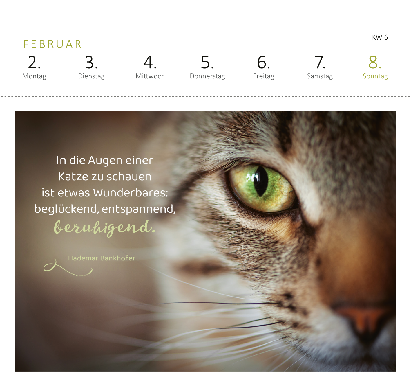 Gezeigt wird eine Innen- oder Zusatzansicht von „Postkartenkalender Katzenweisheiten 2026“. Im Februar ist ein close-up Bild eines katzenartigen Gesichts abgebildet, das ein faszinierendes grünliches Auge zeigt. Darunter steht der Spruch: „In die Augen einer Katze zu schauen ist etwas Wunderbares: beglückend, entspannend, beruhigend.“ in eleganter, geschwungener Schrift. Die Farbpalette umfasst neutrale Töne mit einem sanften Hintergrund, der den Fokus auf das Zitat lenkt. Die...