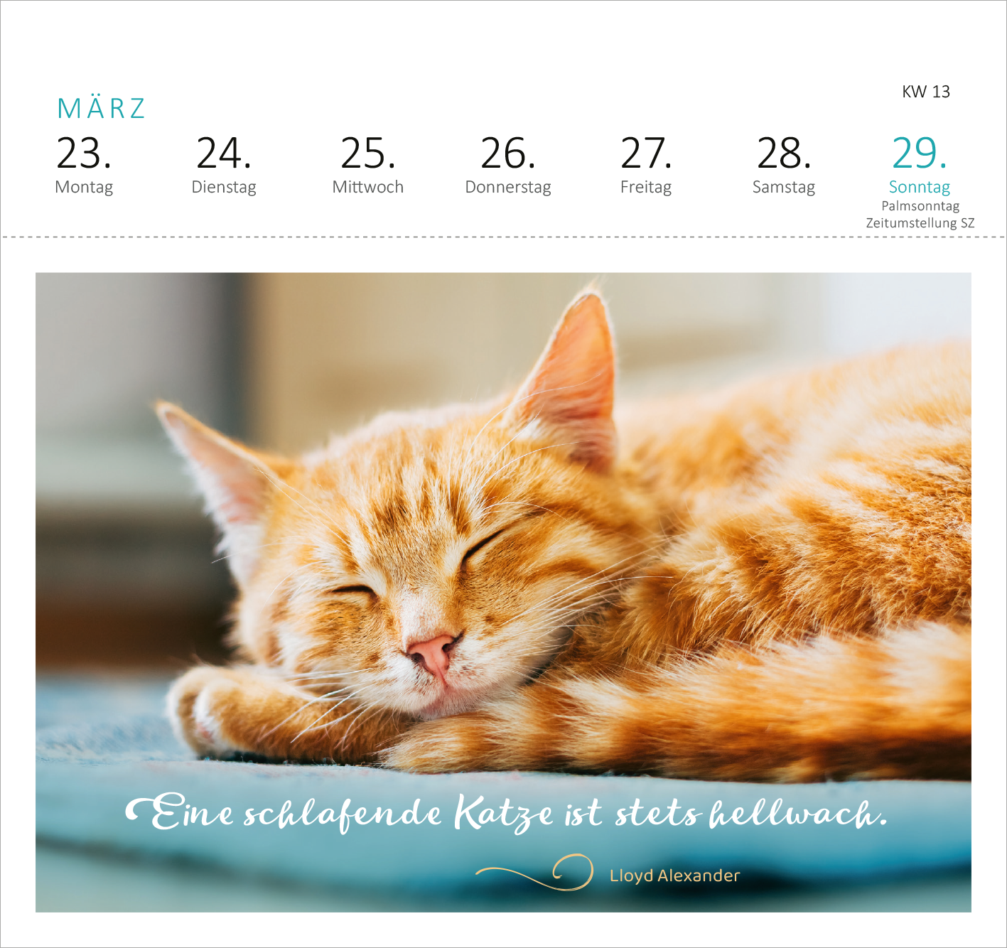 Gezeigt wird eine Innen- oder Zusatzansicht von „Postkartenkalender Katzenweisheiten 2026“. Die Ansicht zeigt eine schlafende orangefarbene Katze auf einer hellen Unterlage. In der oberen Bildhälfte sind die Wochentage und das Datum in klarer, moderner Typografie angeordnet. Unterhalb der Katze steht in verspielter Schrift der Spruch „Eine schlafende Katze ist stets hellwach“ und der Autor „Lloyd Alexander“ in kleinerer Schrift. Die Farben sind warm und einladend.