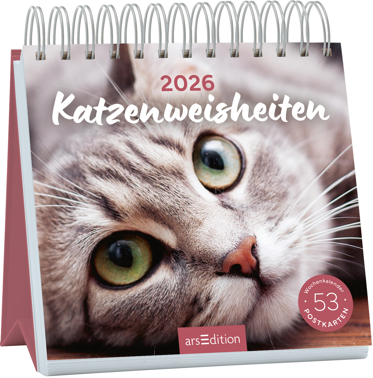 Auf dem Buchcover „Katzenweisheiten 2026“ ist das Nahaufnahme eines grauen Katzenkopfes mit großen, grünen Augen abgebildet. Der Titel in geschwungener, weißer Schrift hebt sich sanft vom Hintergrund ab, der in warmen, neutralen Farben gehalten ist. Oben links steht die Jahreszahl „2026“. Unten rechts ist ein runder Button mit dem Text „53 Postkarten“ zu sehen. Ganz unten mittig steht der Logoschriftzug von arsEdition.