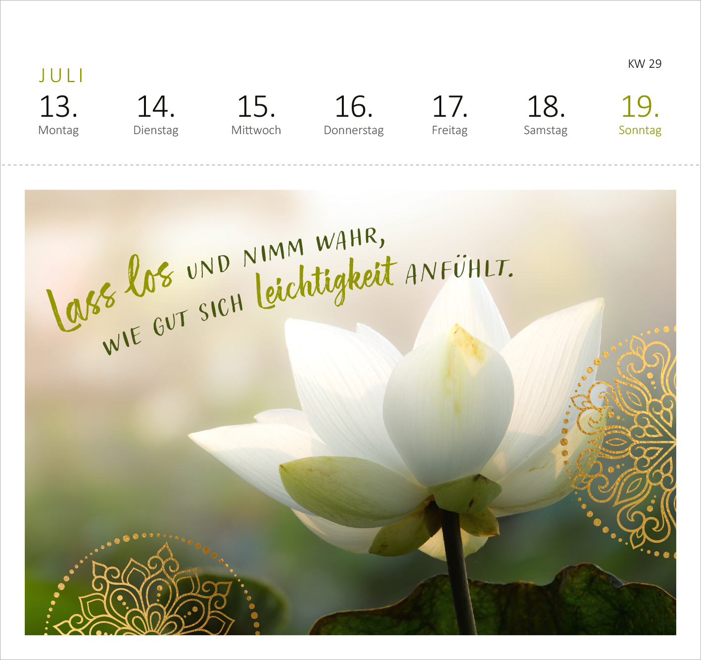 Gezeigt wird eine Innen- oder Zusatzansicht von „Postkartenkalender Yogaglück 2026“. Die Ansicht zeigt einen Monat mit einem sanften, leicht verschwommenen Hintergrund in Grüntönen. Im Vordergrund entfaltet sich eine weiße Lotusblüte. Daneben steht in geschwungener, grüner Schrift der Satz: „Lass los und nimm wahr, wie gut sich Leichtigkeit anfühlt.“ Gekrönt wird die Komposition von filigranen, goldenen Mustern, die sich harmonisch einfügen. Wochen- und Kalendertage sind...