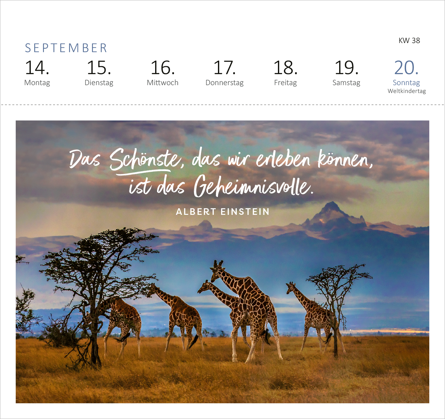 Gezeigt wird eine Innen- oder Zusatzansicht von „Postkartenkalender Fernwehmomente 2026“. Die Seite präsentiert eine zauberhafte Landschaft mit Giraffen vor einem sanften Bergpanorama. Der Schriftzug „Das Schönste, das wir erleben können, ist das Geheimnisvolle.“ von Albert Einstein ist in einer auflockern, handschriftlichen Schriftart in Weiß platziert. Die Wochentage sind in einer klaren, serifenlosen Schrift in einem kühlen Blau angeordnet, umrahmt von einem rechteckigen Layout...
