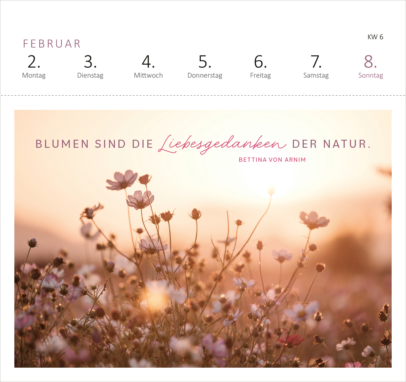 Gezeigt wird eine Innen- oder Zusatzansicht von „Postkartenkalender 365 Tage Sonne im Herzen 2026“. Auf der Seite ist eine sanfte, pastellfarbene Blumenwiese abgebildet, die von warmem Sonnenlicht durchflutet wird. Über der Abbildung steht in eleganter, rosaner Schrift: „BLUMEN SIND DIE Liebesgedanken DER NATUR.“ Darunter ist der Name der Autorin, Bettina von Arnim, in klassischer Schriftart platziert. Am oberen Rand sind die Wochentage des Februars in klarer, lesbarer Typografie...