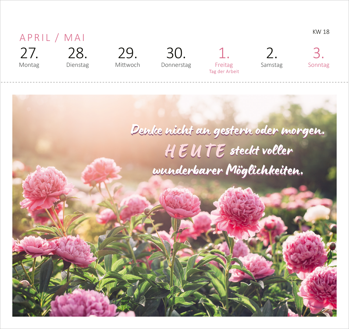 Gezeigt wird eine Innen- oder Zusatzansicht von „Postkartenkalender 365 Tage Sonne im Herzen 2026“. Die Abbildung zeigt eine blühende Gartenlandschaft mit üppigen rosa Pfingstrosen, die vor einem sanften, pastellfarbenen Hintergrund platziert sind. Über den Blumen steht in einer geschwungenen, handschriftlichen Schriftart der ermutigende Text „Denke nicht an gestern oder morgen. HEUTE steckt voller wunderbarer Möglichkeiten.“ Die Farbgestaltung ist harmonisch und strahlt eine...