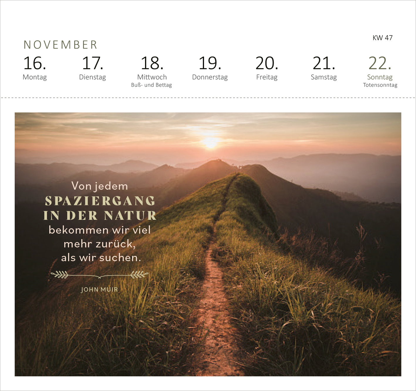 Gezeigt wird eine Innen- oder Zusatzansicht von „Postkartenkalender 365 Tage Sonne im Herzen 2026“. Die Seite präsentiert den Monat November mit einer sanften Farbpalette, die von warmen Erdtönen bis hin zu sanften Graublau reicht. In der unteren Bildhälfte ist ein Zitat von John Muir in eleganter, moderner Schriftart zu sehen: „Von jedem Spaziergang in der Natur bekommen wir viel mehr zurück, als wir suchen.“ Die Wochentage sind übersichtlich angeordnet, und das Gesamtbild...