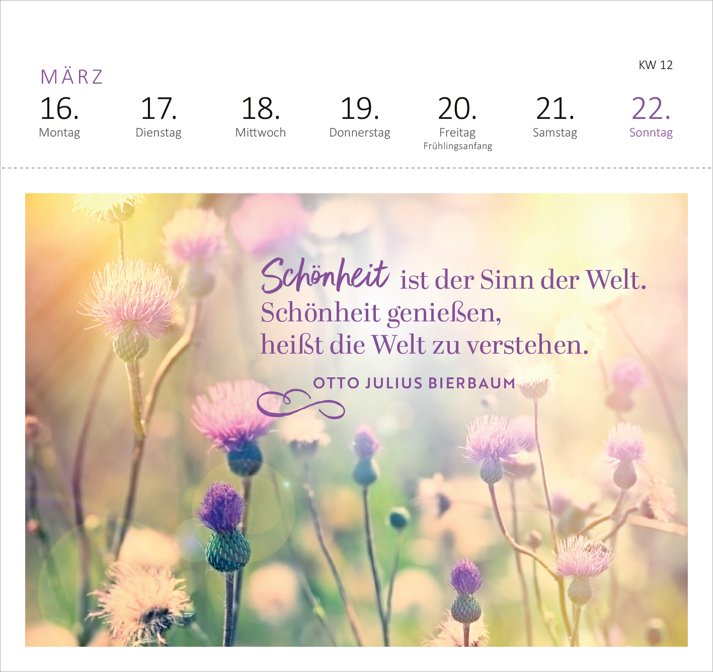 Gezeigt wird eine Innen- oder Zusatzansicht von „Postkartenkalender Lebensweisheiten 2026“. Der Kalender zeigt eine sanfte, pastellfarbene Blumenwiese als Hintergrund. Über dem Bild steht der Schriftzug in elegantem Blau: „Schönheit ist der Sinn der Welt. Schönheit genießen, heißt die Welt zu verstehen.“ Darunter ist der Name „OTTO JULIUS BIERBAUM“ in geschwungener Schrift platziert. Die Wochentage sind klar und gut lesbar in einer minimalistischen Typografie angezeigt, wobei...