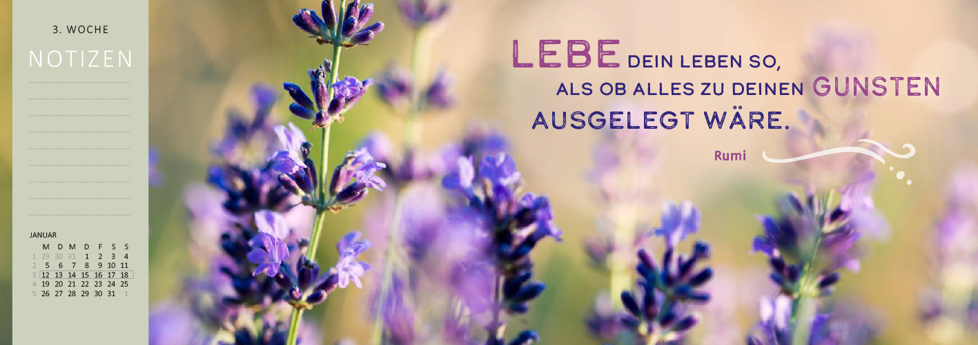 Gezeigt wird eine Innen- oder Zusatzansicht von „Tischkalender Einatmen. Ausatmen. Lächeln. 2026“. Die Seite zeigt zarte, lila Lavendelblüten in unscharfer Hintergrunddarstellung. Die inspirierende Schrift mit dem Zitat „LEBE dein Leben so, als ob alles zu deinen Gunsten ausgelegt wäre.“ in lila betont das Design. Links befindet sich ein Bereich für Notizen in sanftem Grün, der auf eine Woche verweist, umgeben von einer harmonischen und beruhigenden Farbpalette.