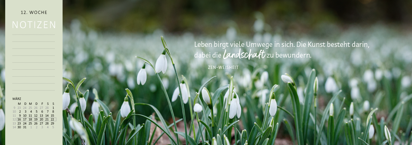 Gezeigt wird eine Innen- oder Zusatzansicht von „Tischkalender Heute ist mein Lieblingstag! 2026“. Die Seite zeigt eine sanfte grüne Hintergrundfarbe und ist mit einem schönen Foto von Schneeglöckchen gestaltet. Rechts befindet sich ein inspirierender Zitattext in hellem Weiß, der eine positive Botschaft vermittelt. Links sind Notizen für die 12. Woche in klarer Schriftart unter dem Titel „NOTIZEN“ angeordnet, begleitet von einem kleinen Kalender für den Monat.