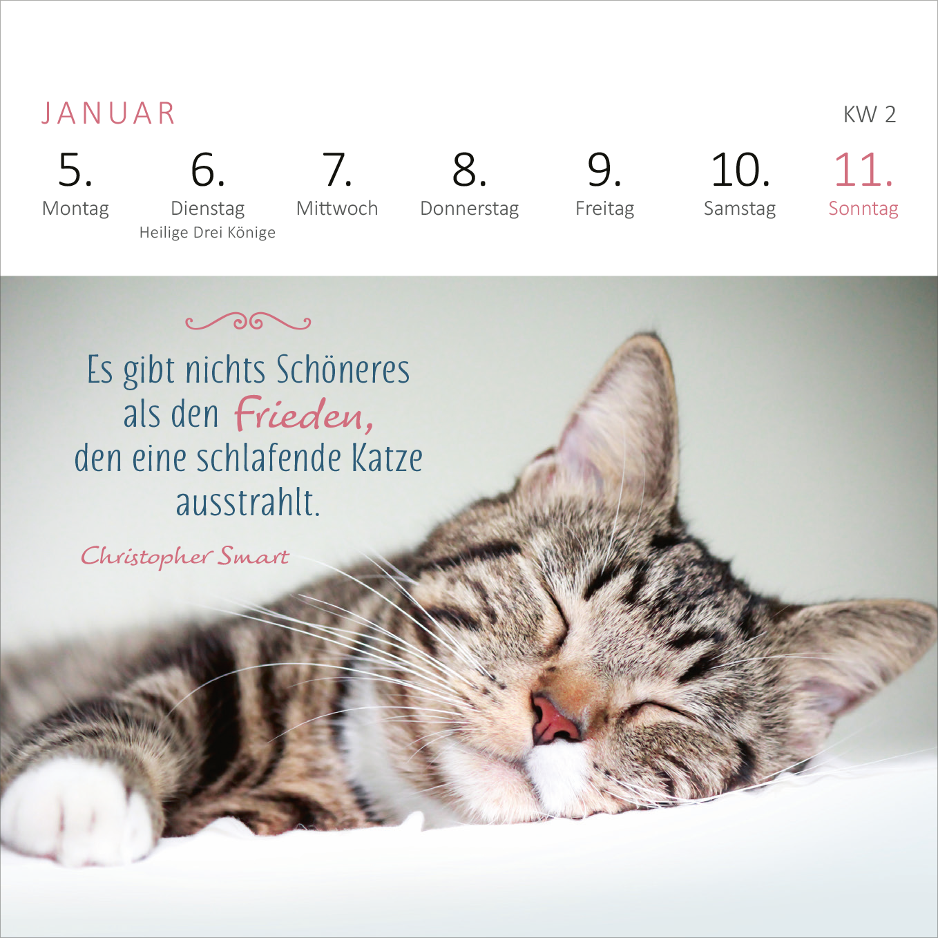 Gezeigt wird eine Innen- oder Zusatzansicht von „Mini-Wochenkalender Katzenweisheiten 2026“. Der Kalender präsentiert eine entspannte schlafende Katze im Vordergrund. Darüber stehen die Wochentage in klarer, schwarzer Schrift auf einem weißen Hintergrund. Ein Zitat von Christopher Smart in geschwungener, roter Schrift hebt sich ab und vermittelt eine entspannende Atmosphäre. Die Farbpalette ist sanft und beruhigend, mit dominierendem Weiß und zarten Farbakzenten, die die ansprechende...