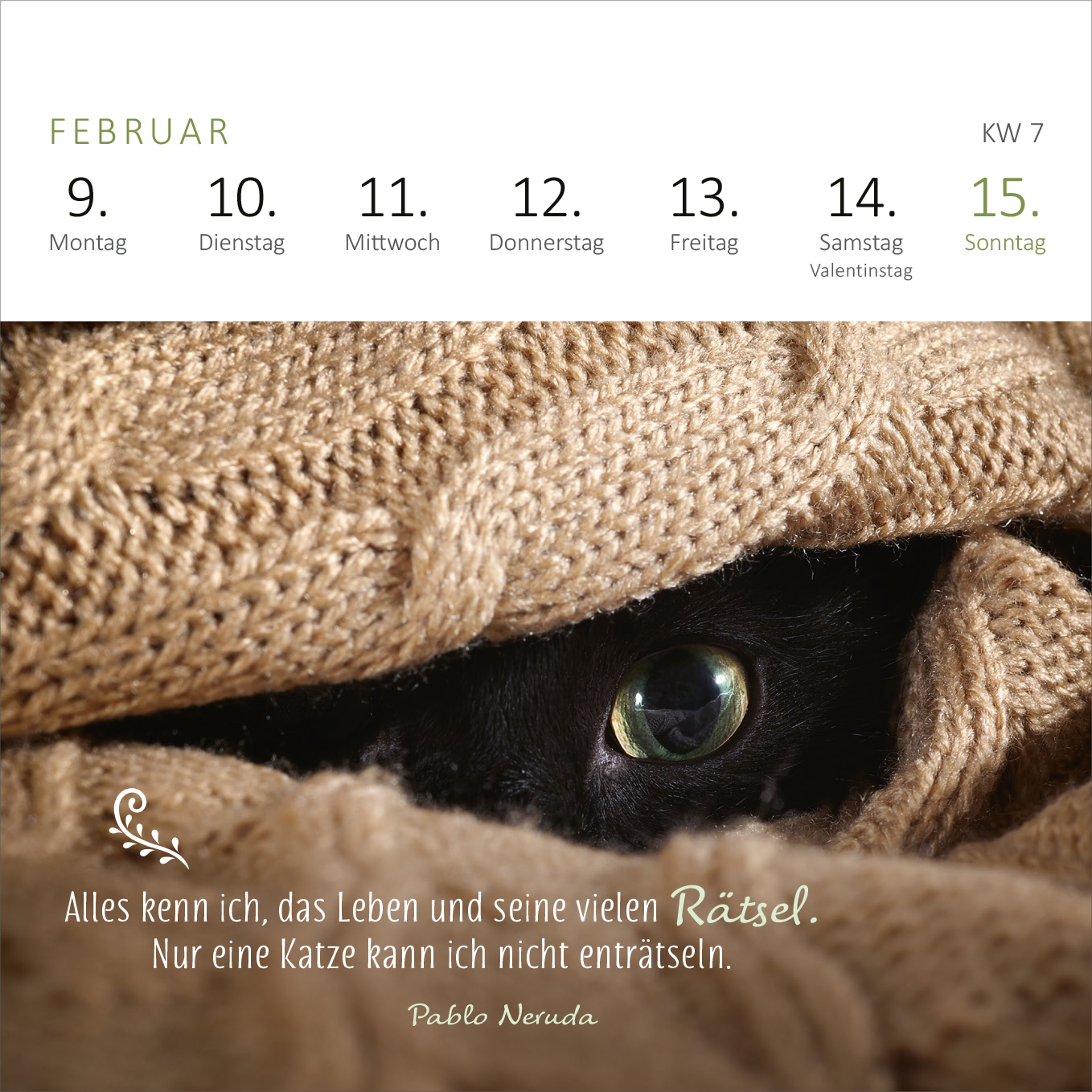 Gezeigt wird eine Innen- oder Zusatzansicht von „Mini-Wochenkalender Katzenweisheiten 2026“. Die Ansicht zeigt den Monat Februar mit einer sanften Farbpalette in Beige- und Grüntönen. Oben sind die Wochentage und das Datum klar strukturiert in einer modernen, eleganten Schrift. Im unteren Bereich steht ein Zitat von Pablo Neruda, eingerahmt von einer geschwungenen Linie. Ein schwarzes Katzenauge schimmert geheimnisvoll aus einem wolligen Stoff, was die verspielte Atmosphäre unterstreicht.
