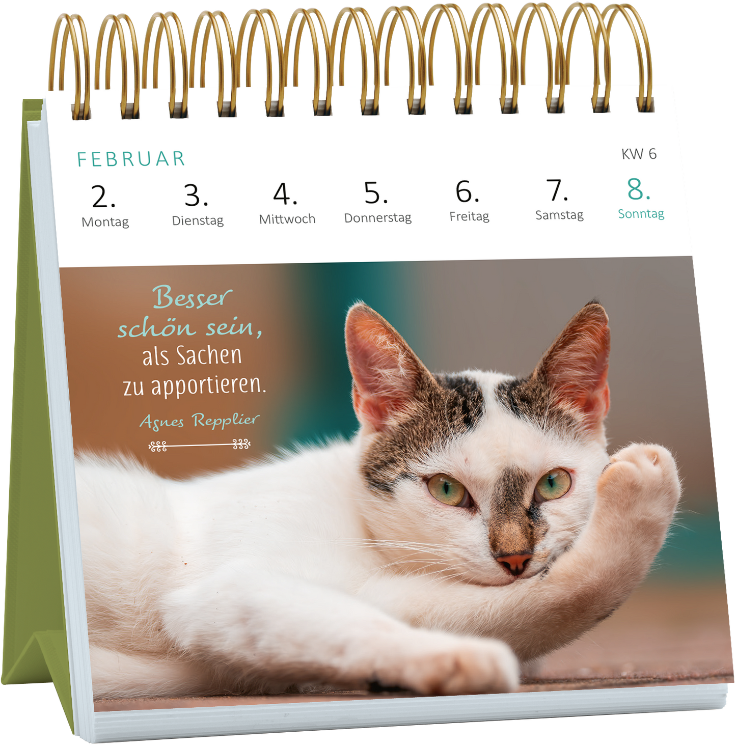 Gezeigt wird eine Innen- oder Zusatzansicht von „Mini-Wochenkalender Katzenweisheiten 2026“. Die Seite zeigt einen kätzischen Motiv mit einem leichten, pastellfarbenen Hintergrund. Darauf findet sich in sanften, eleganten Schriftarten das Zitat „Besser schön sein, als Sachen zu apportieren.“ unterhalb des Katzenbildes, das eine gemütlich liegende Katze mit auffälligen grünen Augen zeigt. Die Wochentage sind klar strukturiert und in einer gut lesbaren Schriftart gestaltet.