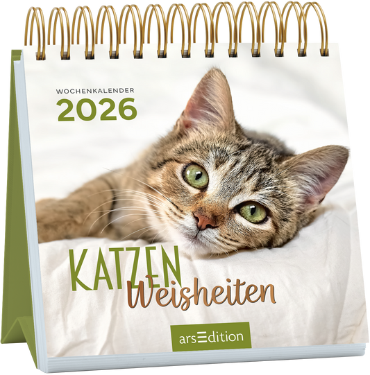 Auf dem Buchcover ist ein naher Blick auf eine niedliche, gestreifte Katze mit großen, grünen Augen zu sehen, die entspannt auf einem weißen Untergrund liegen. Oben links steht in sanften, grünen Buchstaben „WOCHENKALENDER 2026“. Der Titel „KATZEN Weisheiten“ ist in einer verspielten Kombination aus grüner und brauner Schriftart gestaltet. Die Atmosphäre des Covers ist freundlich und einladend. Ganz unten mittig steht der Logoschriftzug von arsEdition.
