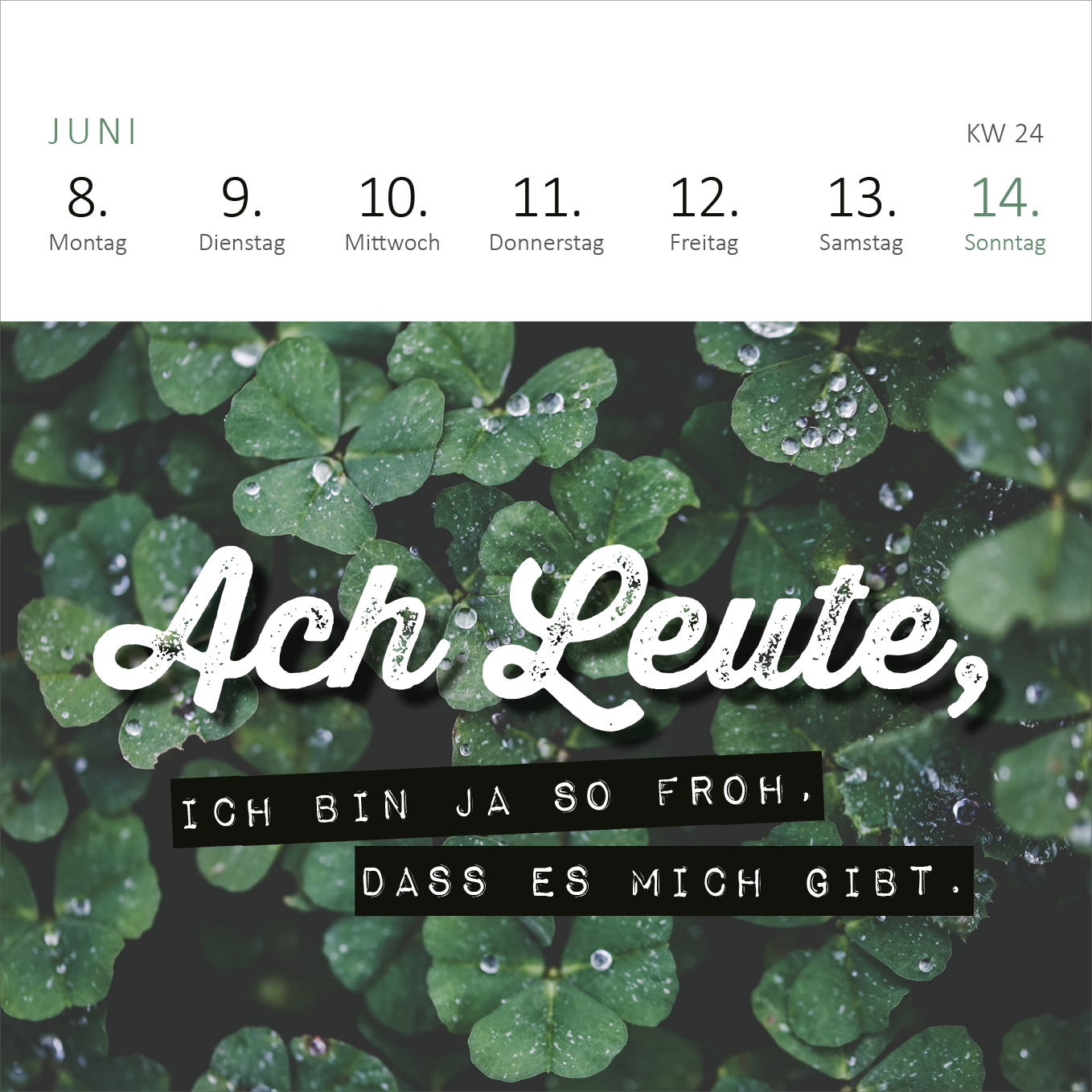 Gezeigt wird eine Innen- oder Zusatzansicht von „Mini-Wochenkalender Ganz schön viel Meinung für so wenig Ahnung! 2026“. Die Ansicht zeigt eine grüne Blattlandschaft mit Wassertropfen, auf die ein handschriftlich wirkender Schriftzug in Weiß „Ach Leute,“ platziert ist. Darunter steht in schwarzer Schrift: „Ich bin ja so froh, dass es mich gibt.“ Die Wochentage sind oben in klarer, schlichter Schrift angeordnet, wobei die einzelnen Tage in Grau hervorgehoben sind.